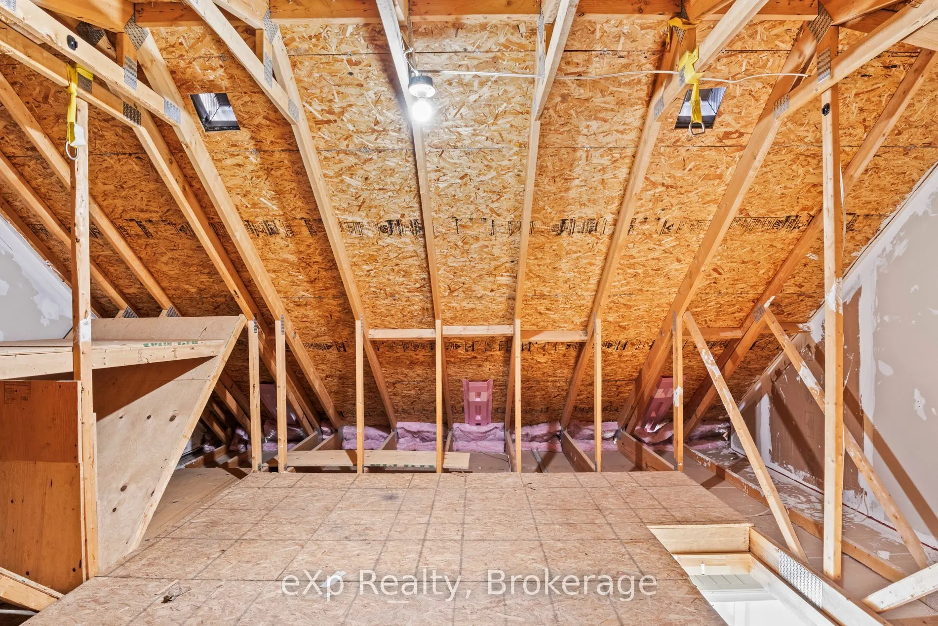 74A Cardigan Street, #22