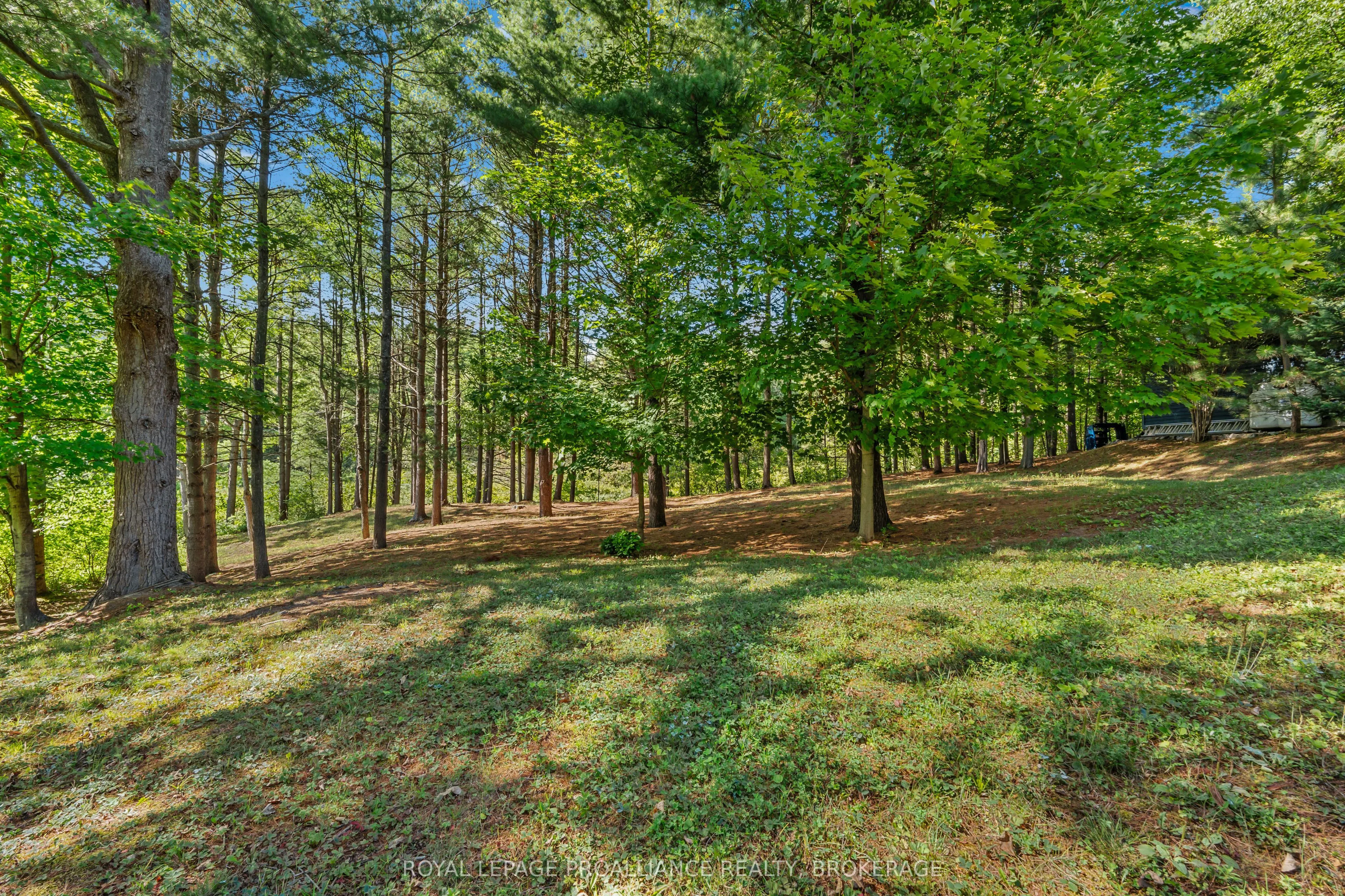 216 Tumbledown Road