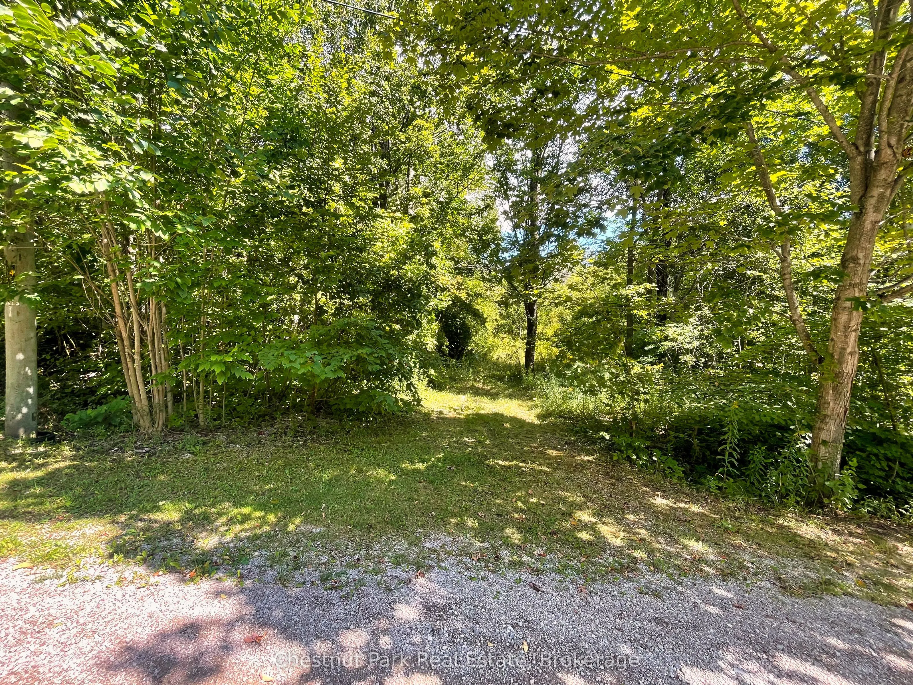 LT 144 15th Avenue