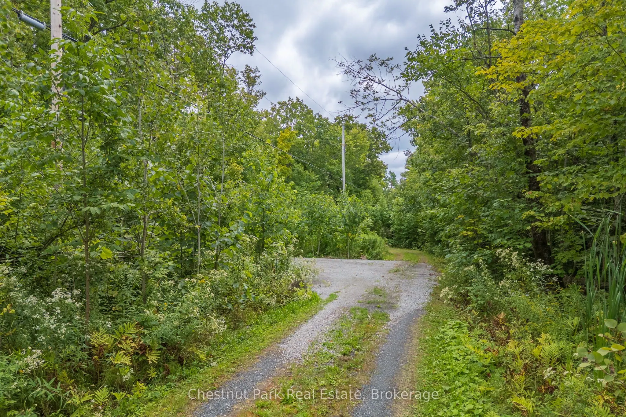 517 Mohawk Road