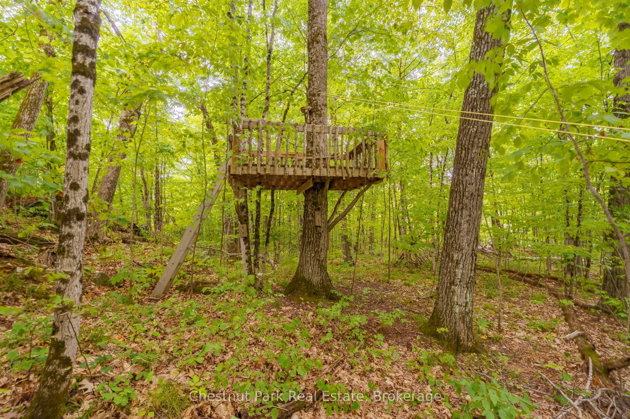 517 Mohawk Road