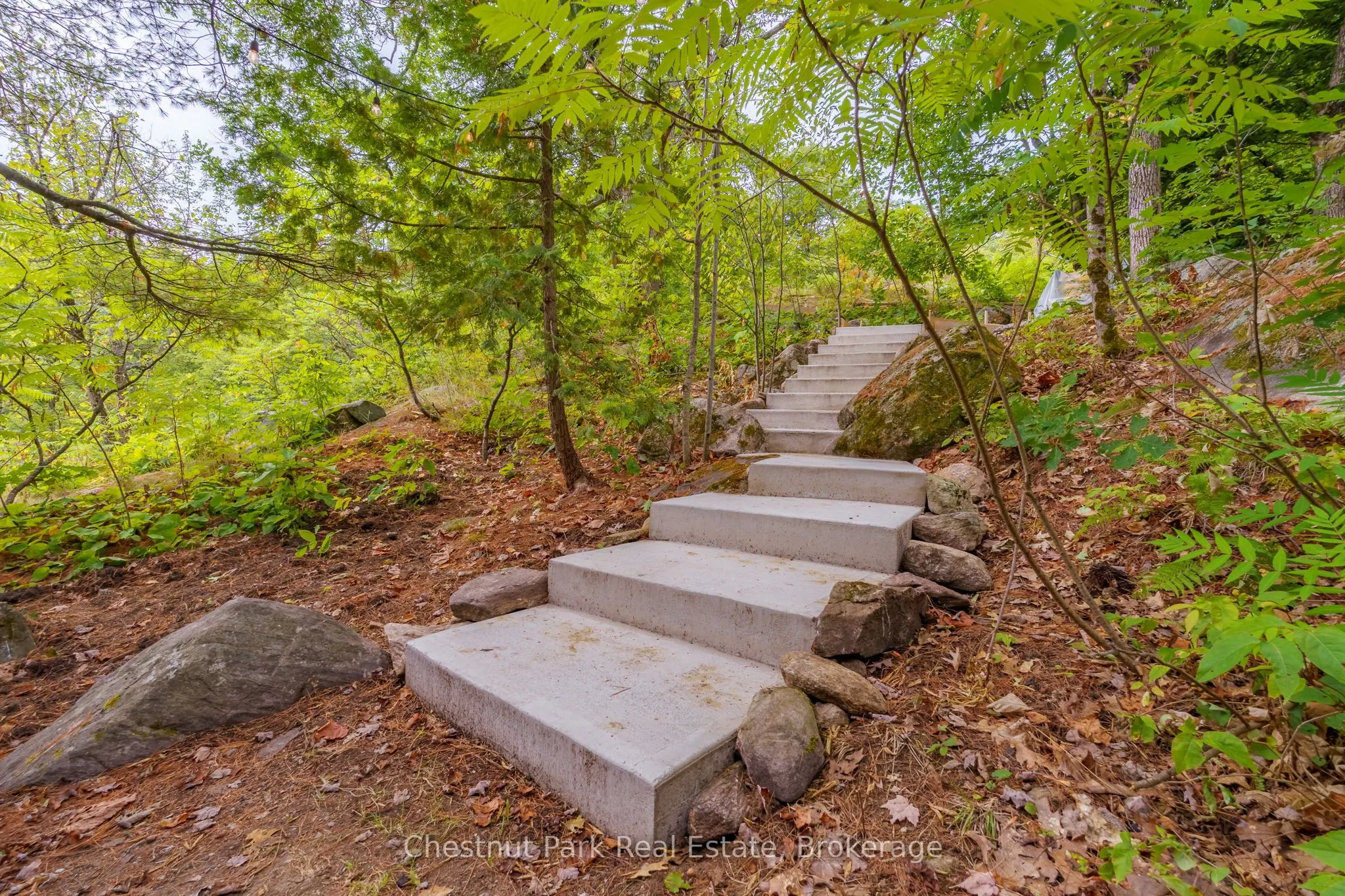 517 Mohawk Road