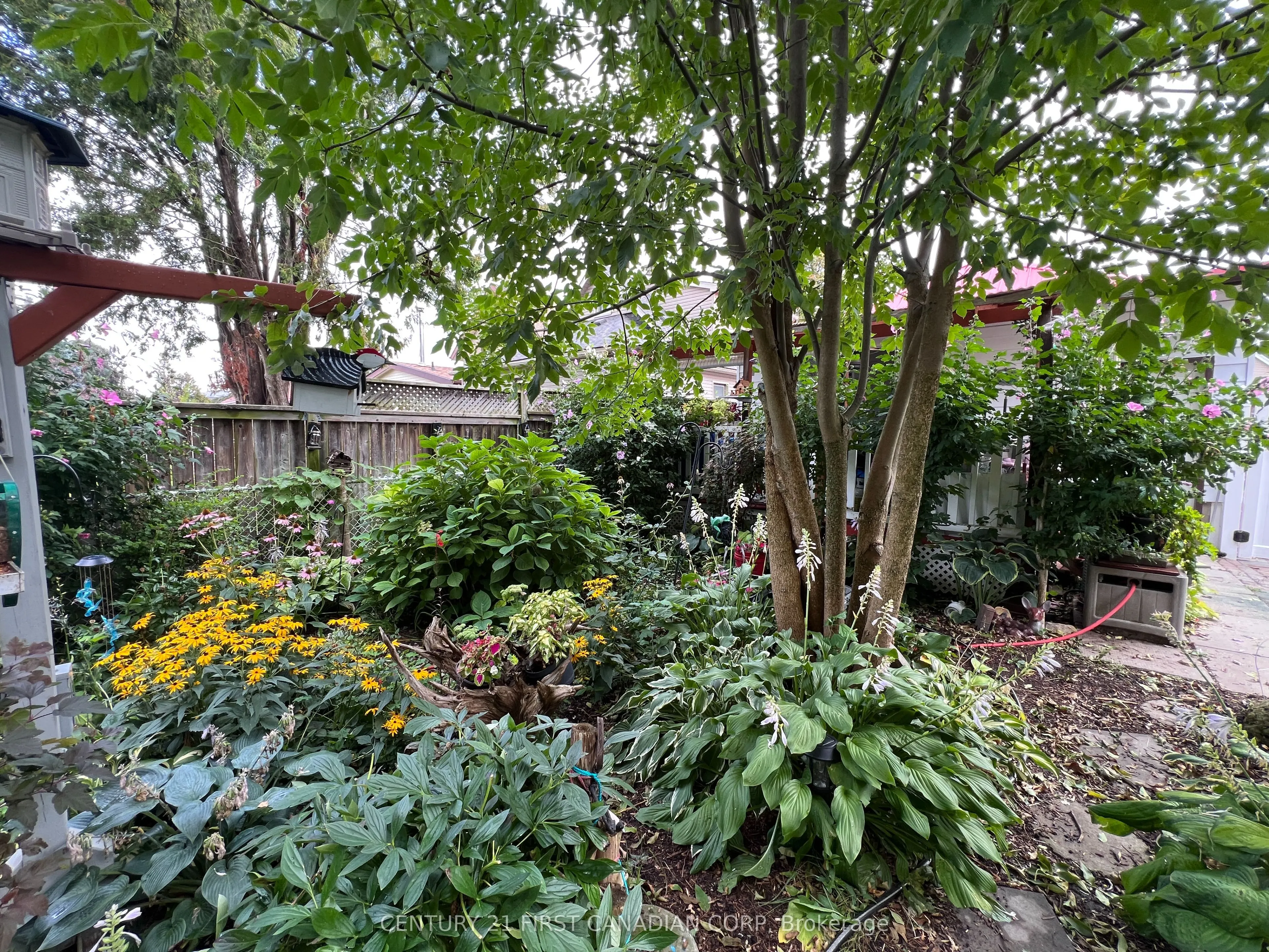 55 Linwood Street