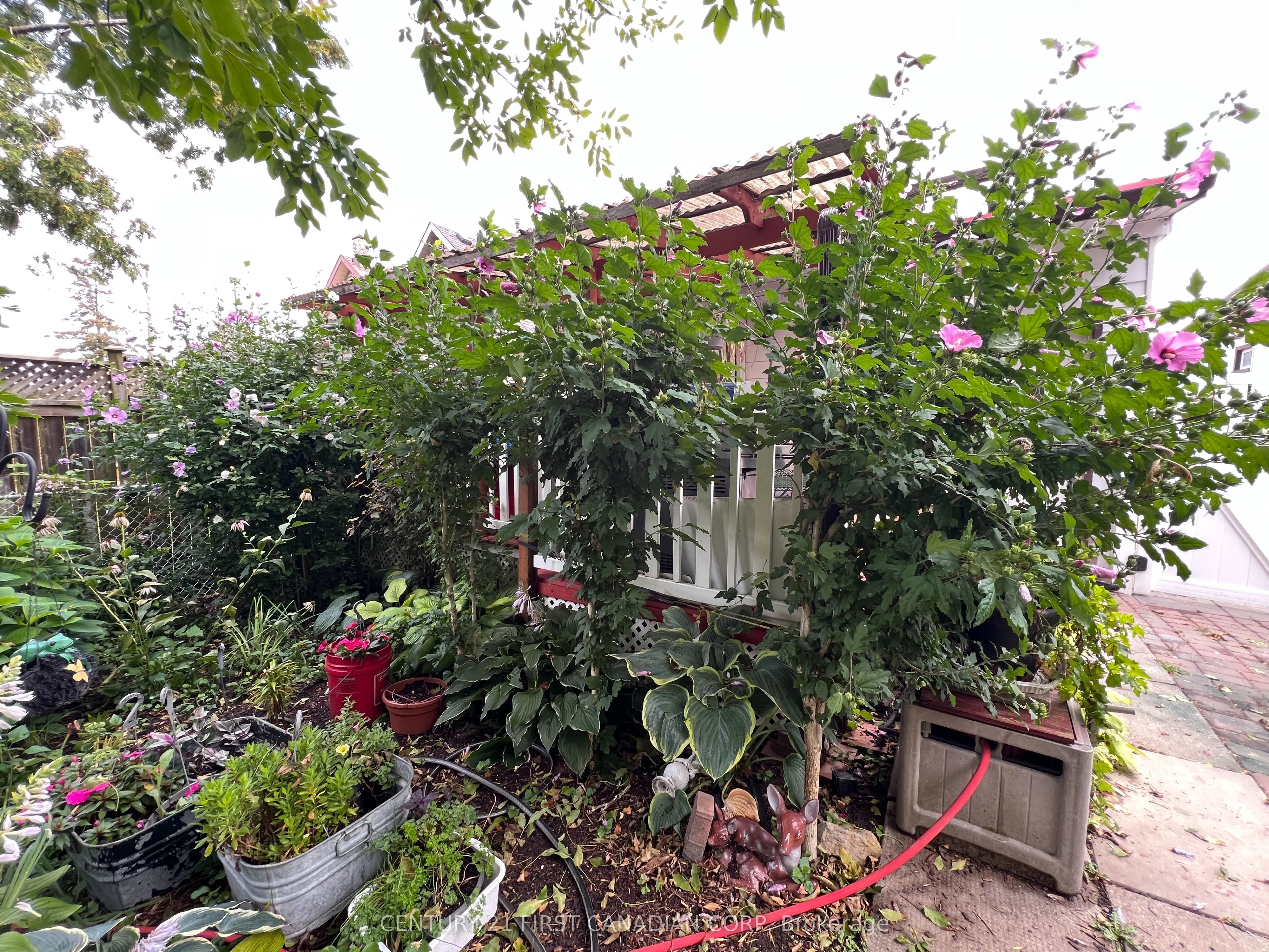 55 Linwood Street