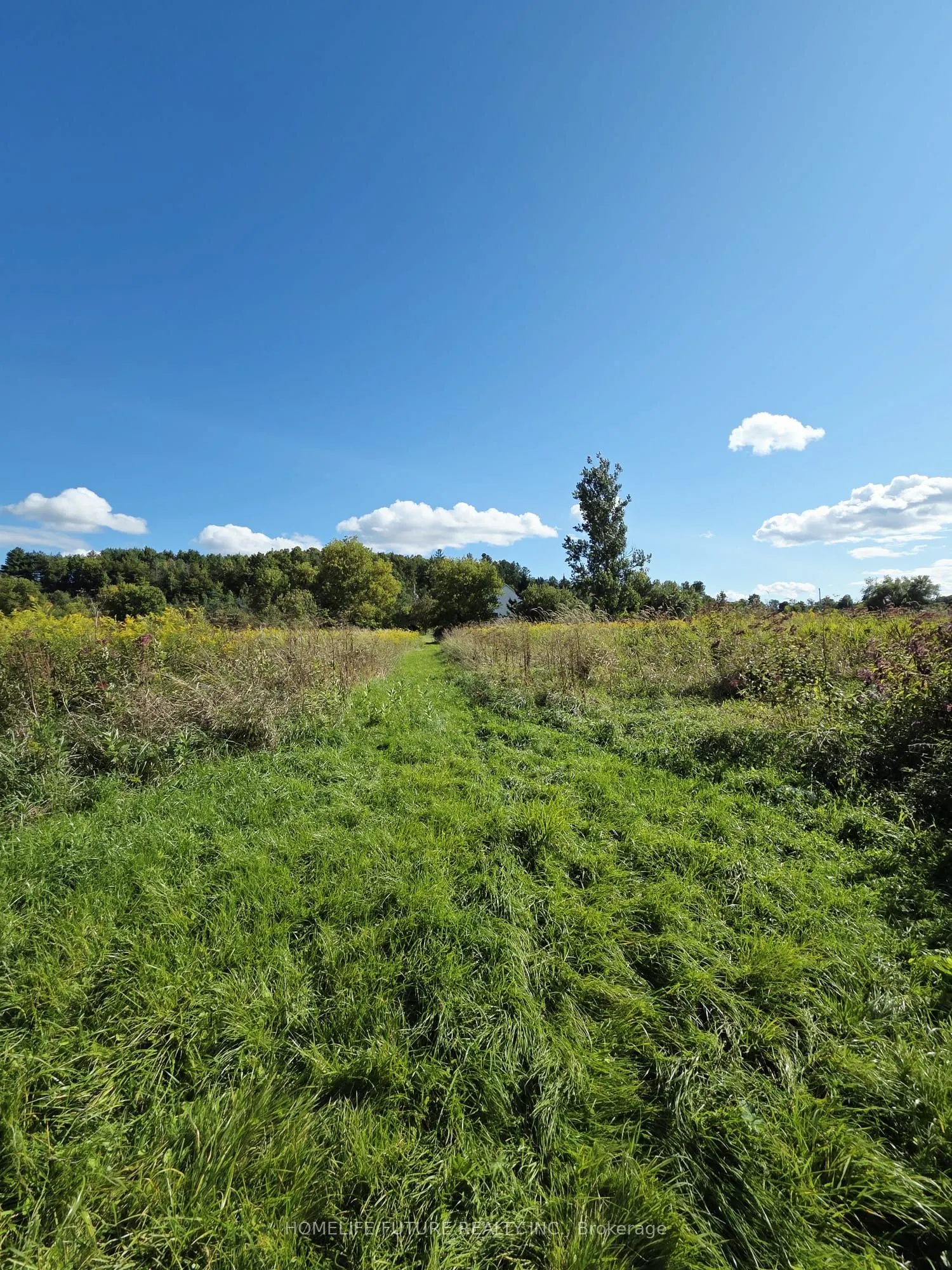 13984 County 29 Road