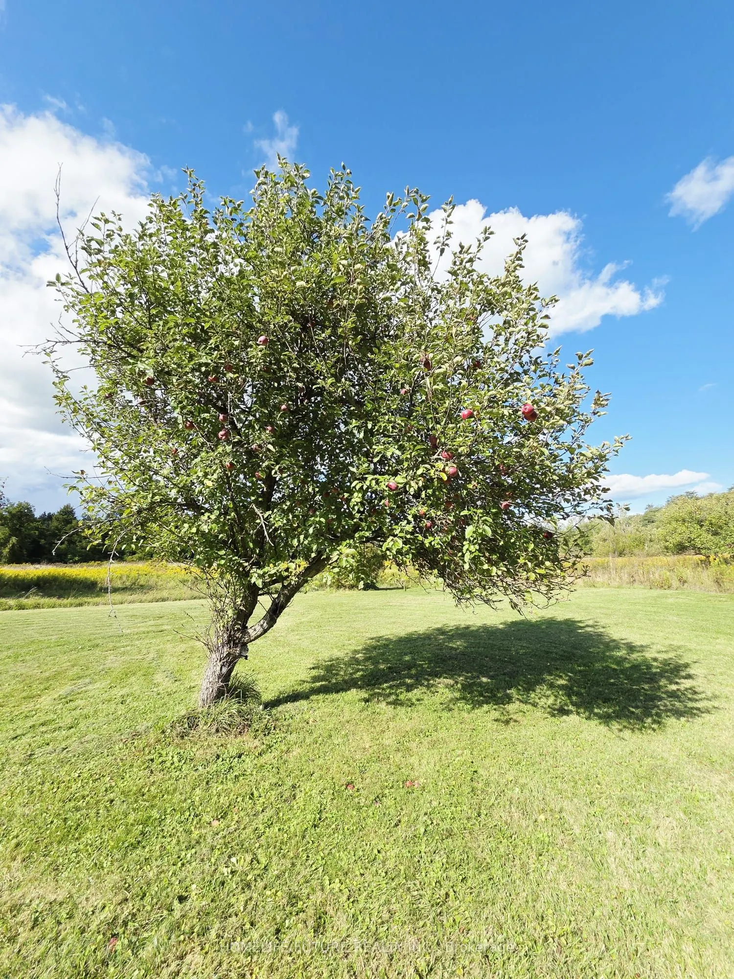 13984 County 29 Road