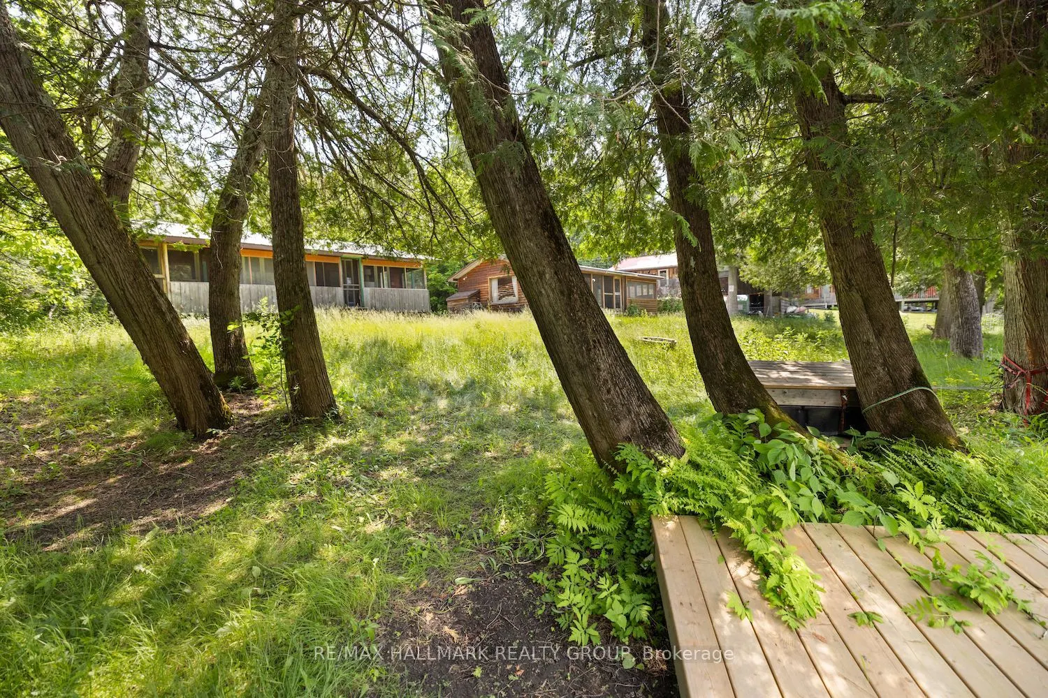 115 Clyde Lane