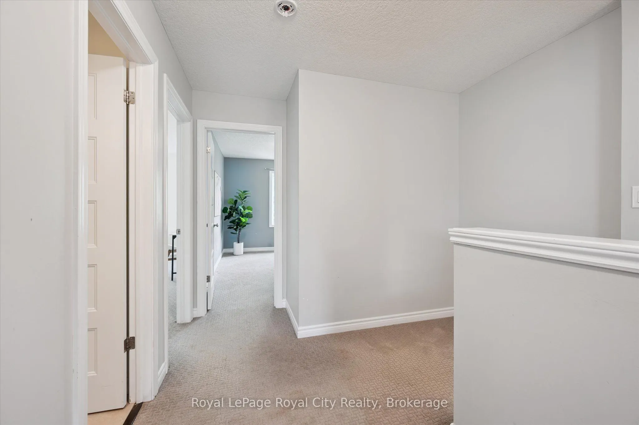 167 Arkell Road, #16