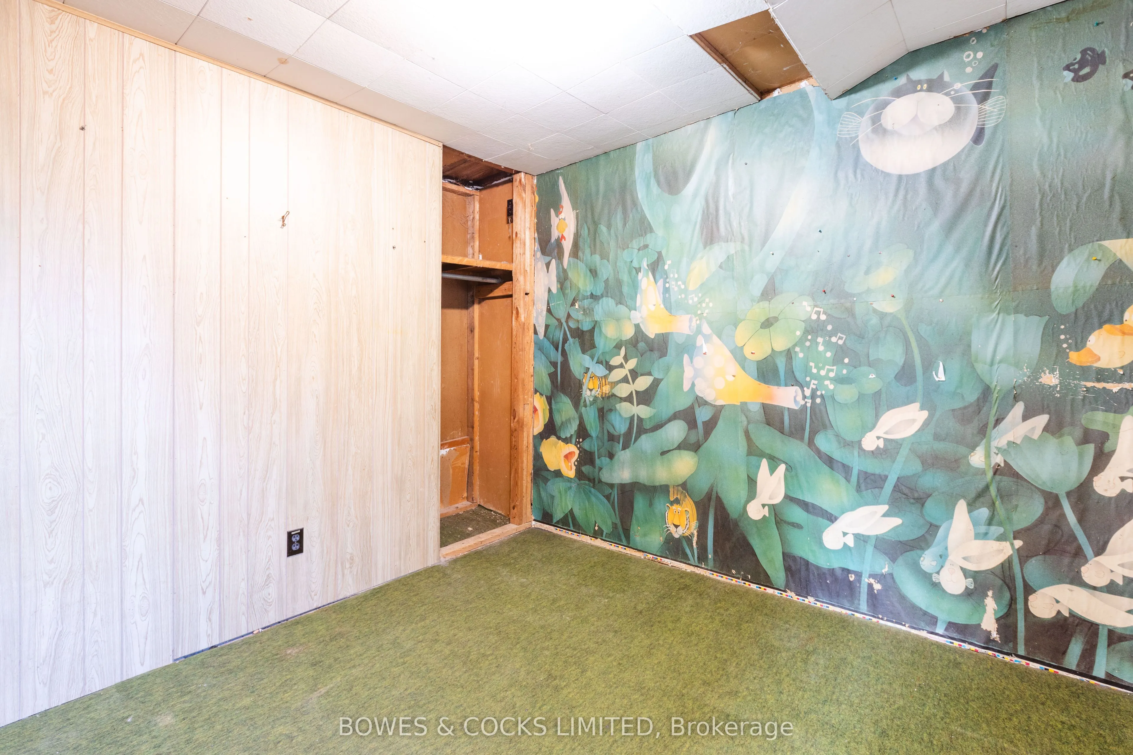 19 Jakeman Street
