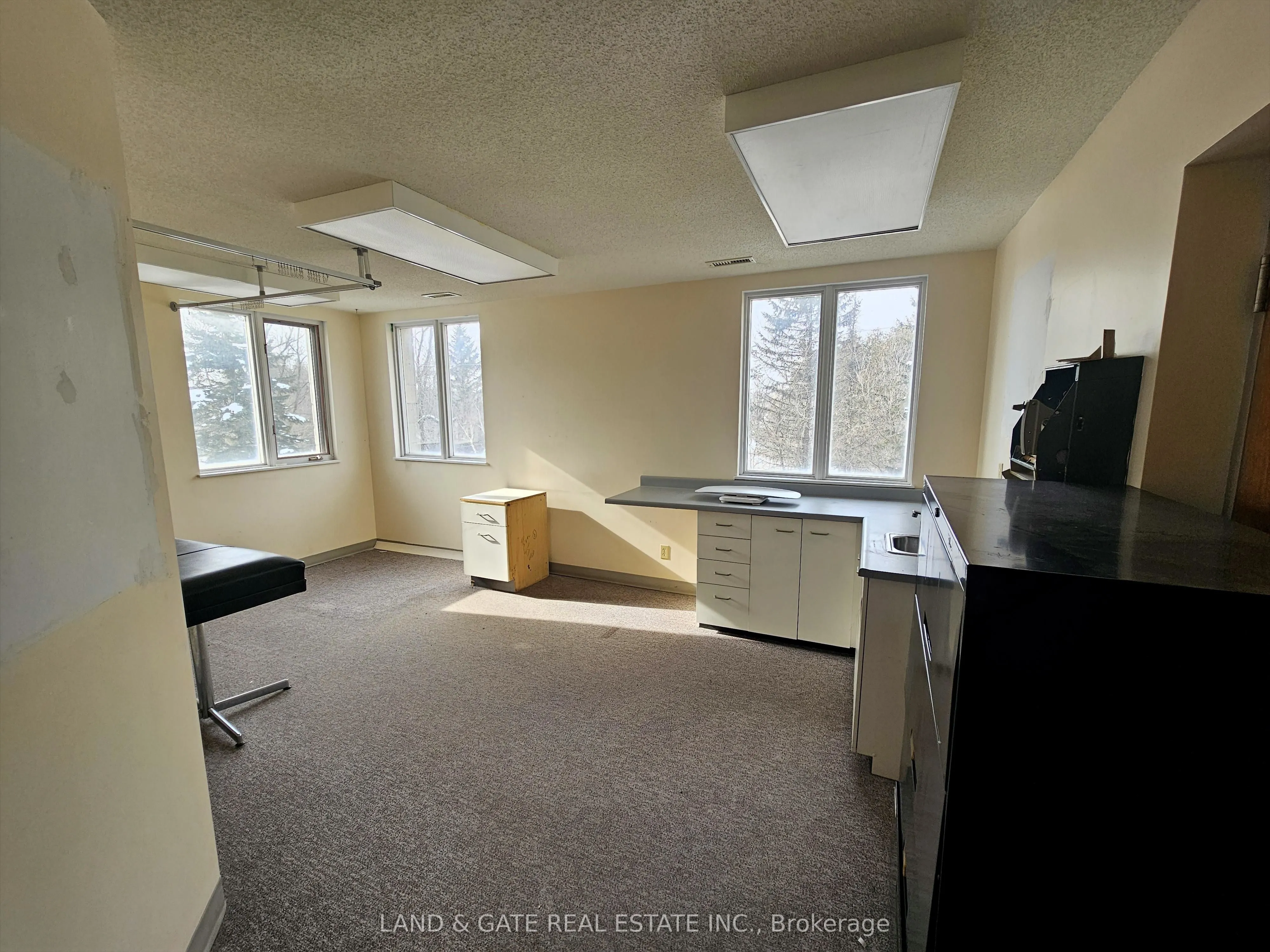 205 Francis Street E, #Upper