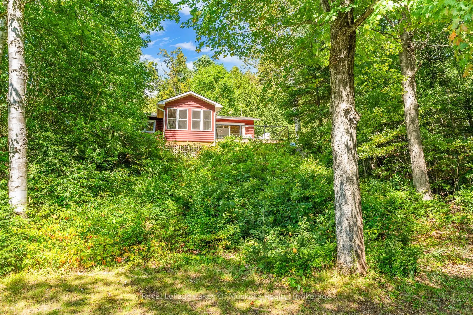 1341 Billie Bear Road