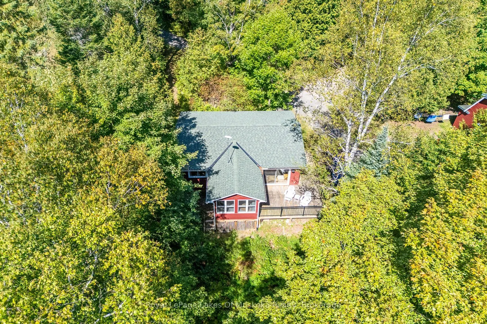 1341 Billie Bear Road
