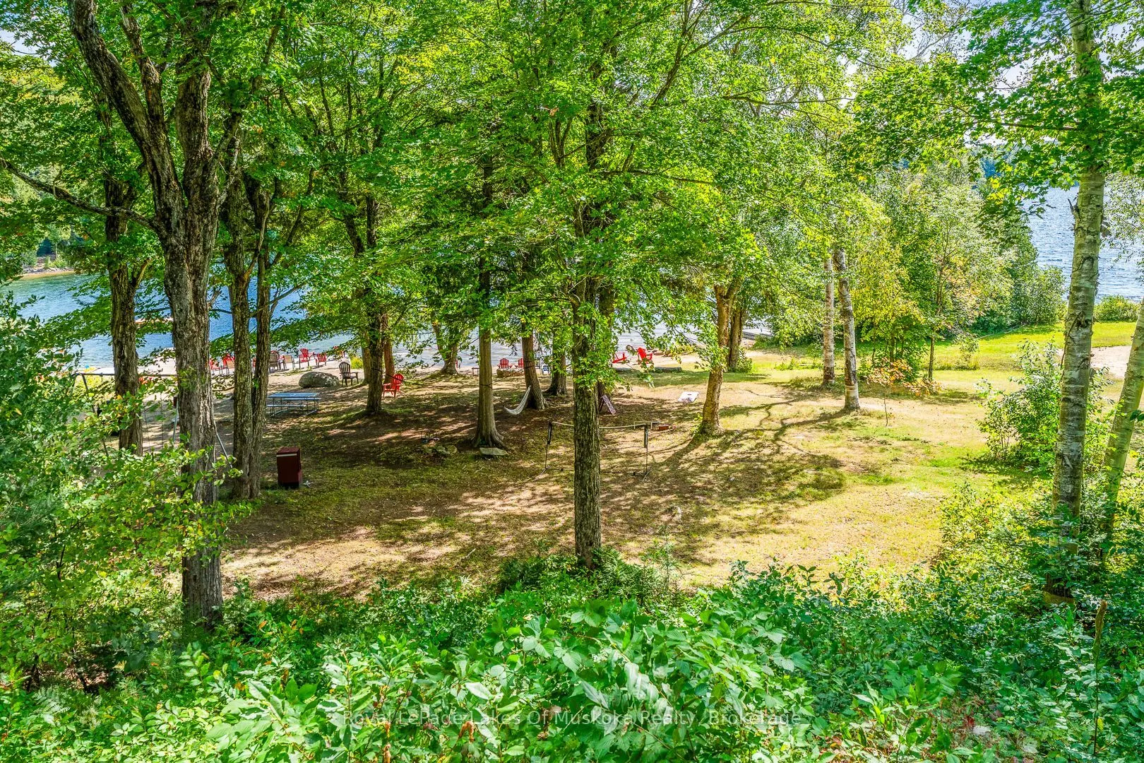 1341 Billie Bear Road
