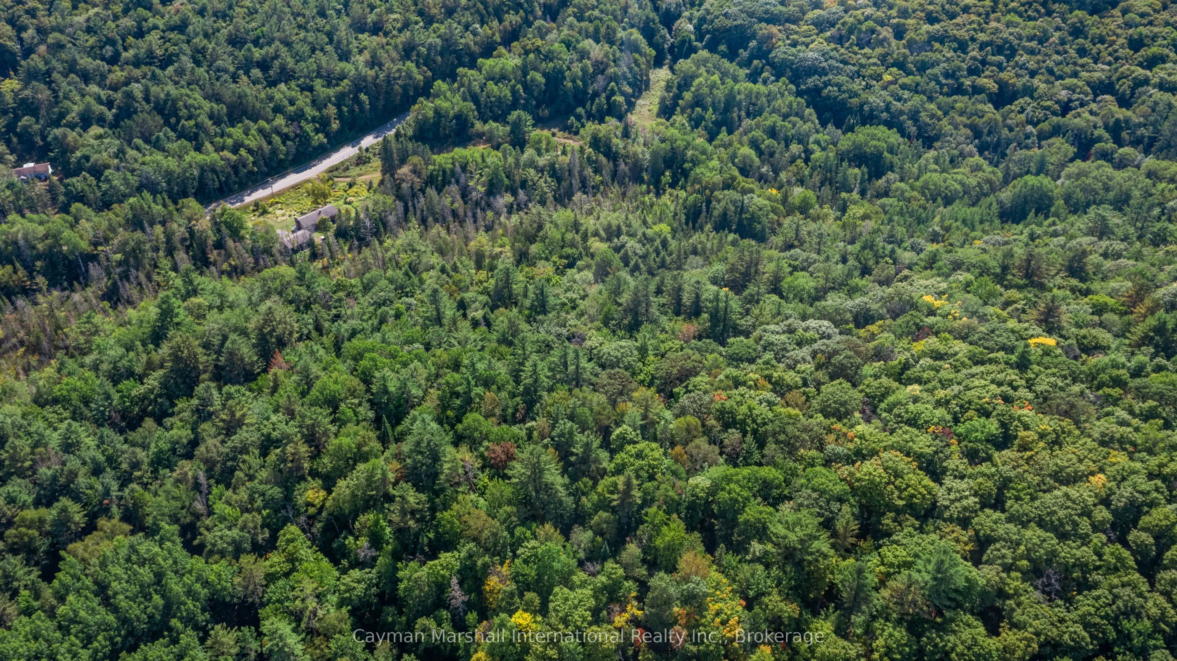 2900 Muskoka Road 10