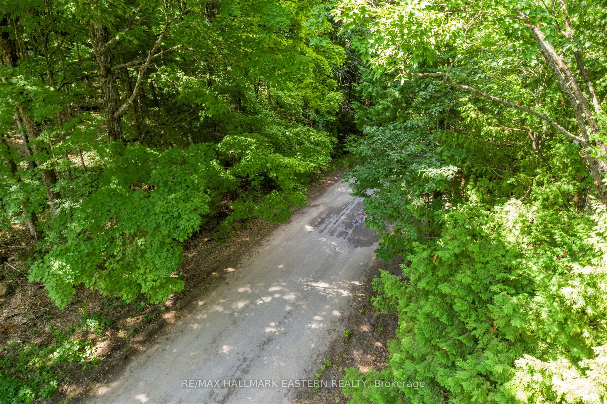 0 Teds Lane