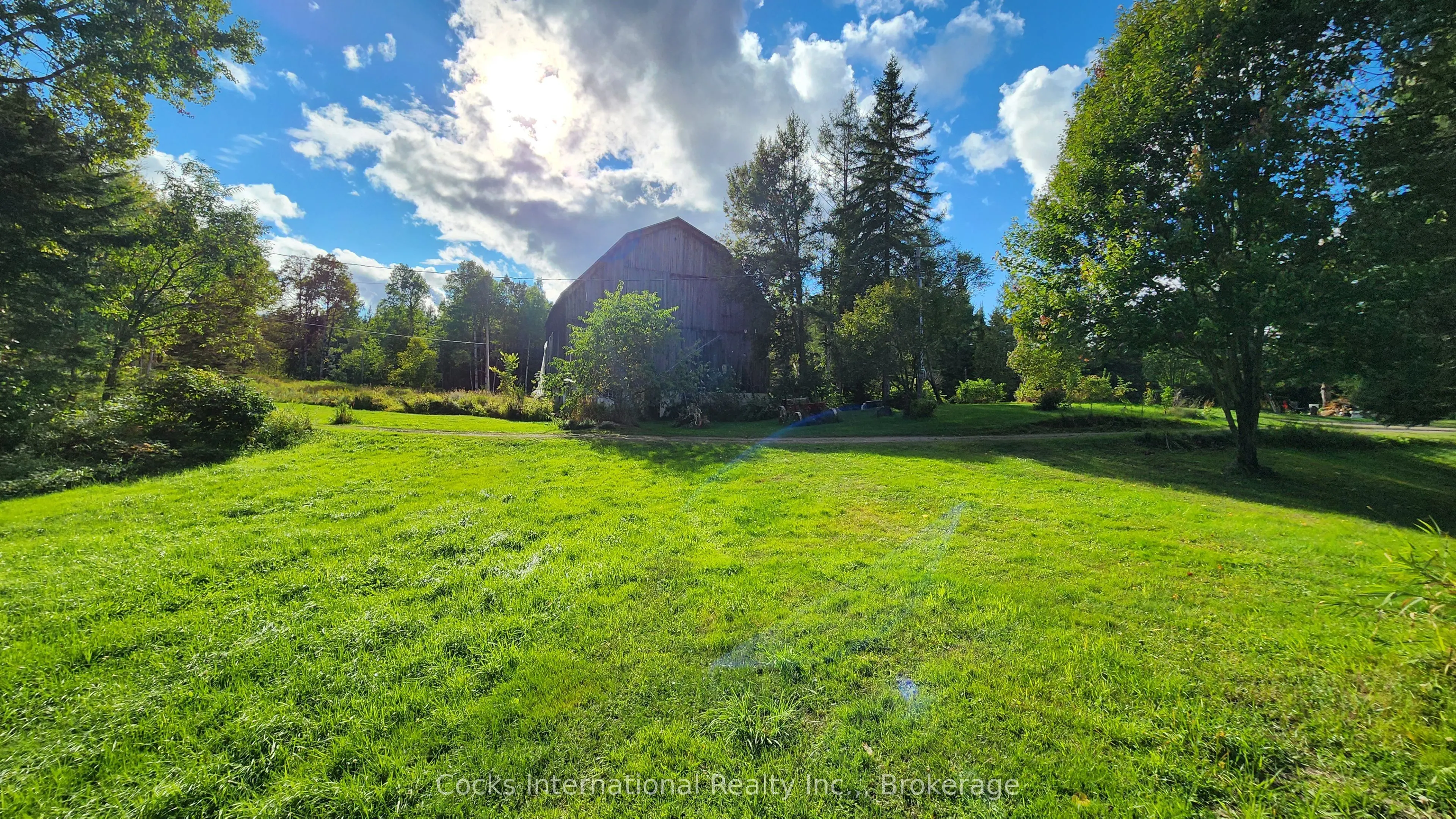 96 Pickerel & Jack Lake Road