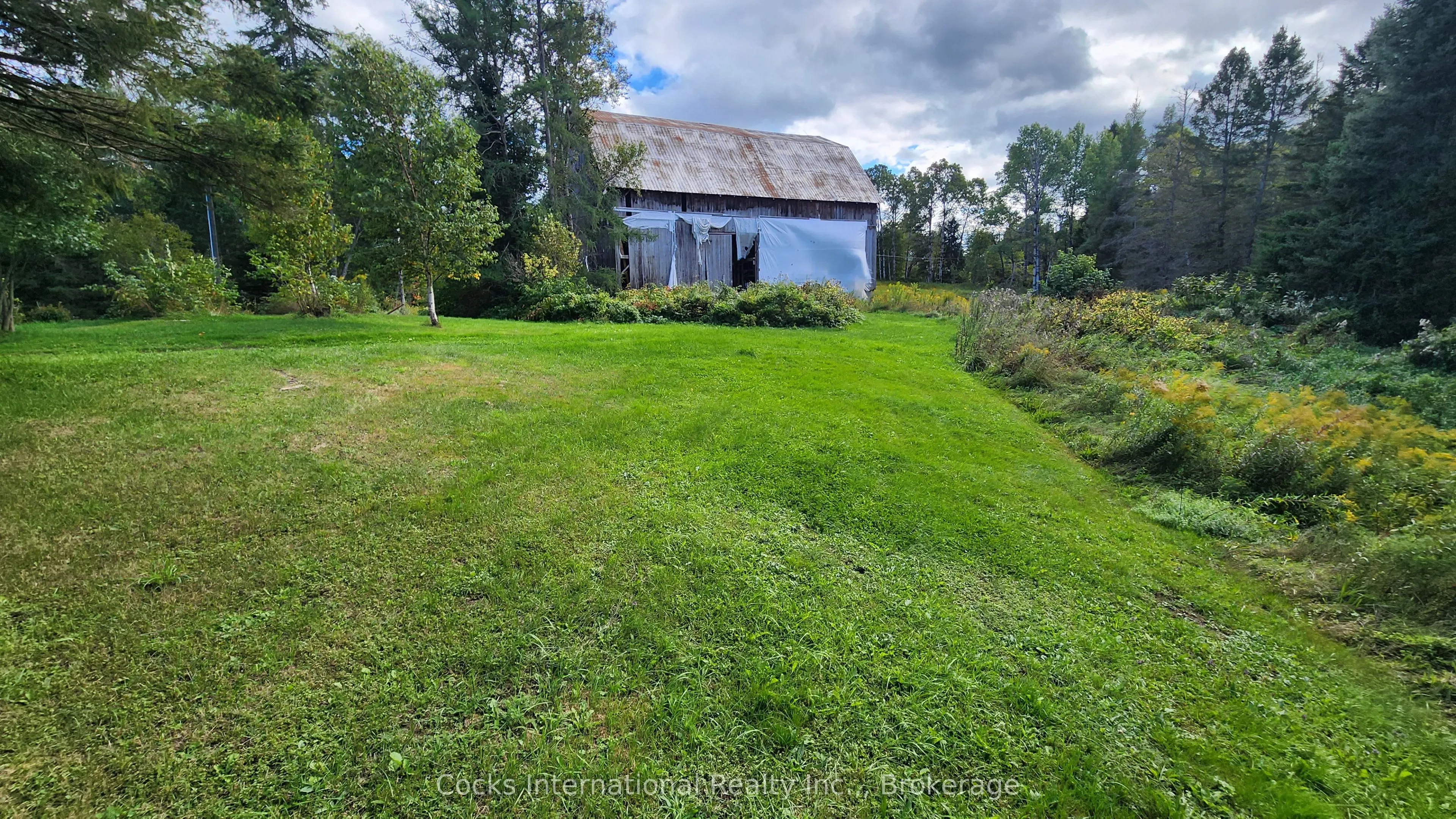 96 Pickerel & Jack Lake Road