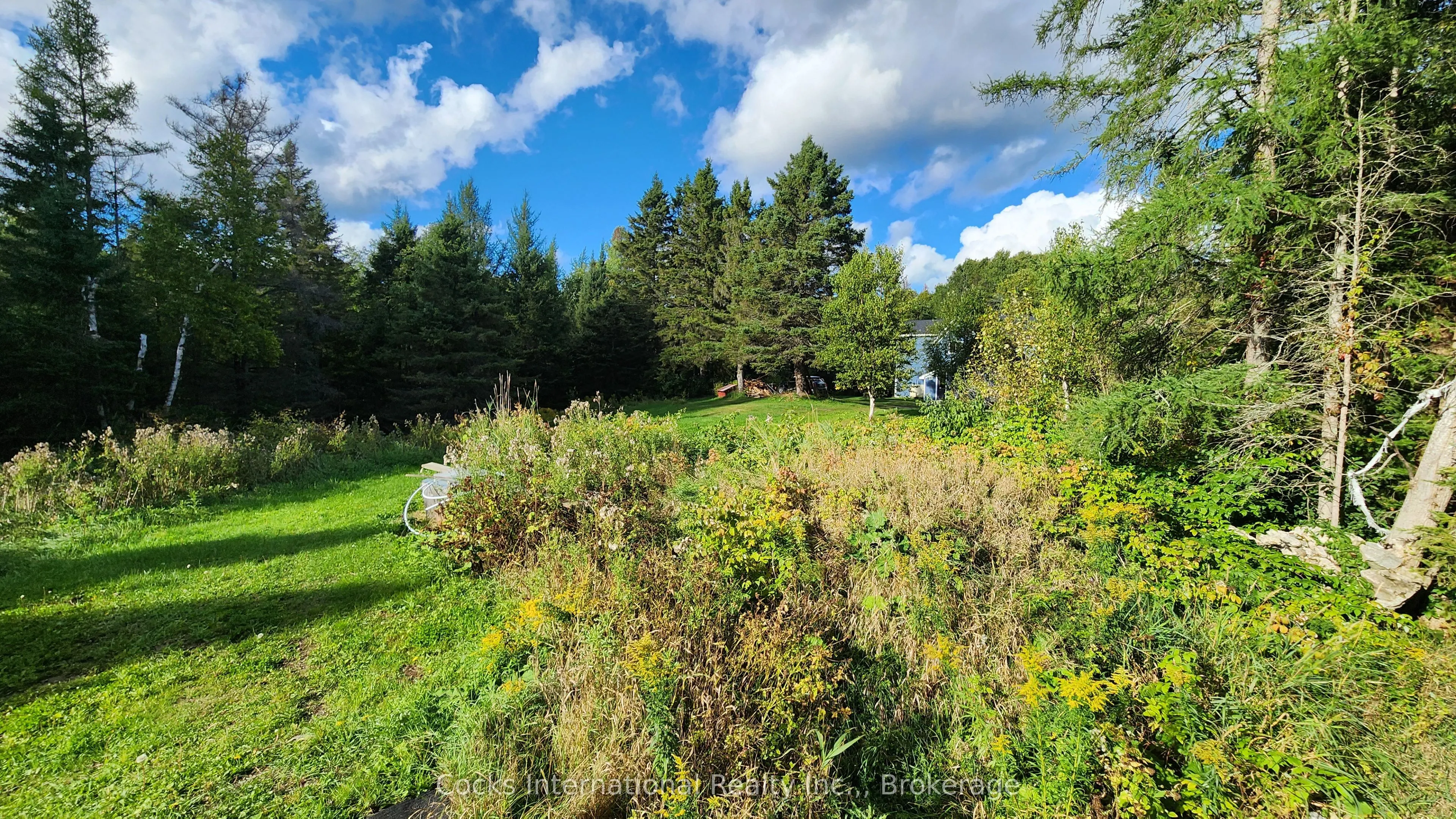 96 Pickerel & Jack Lake Road