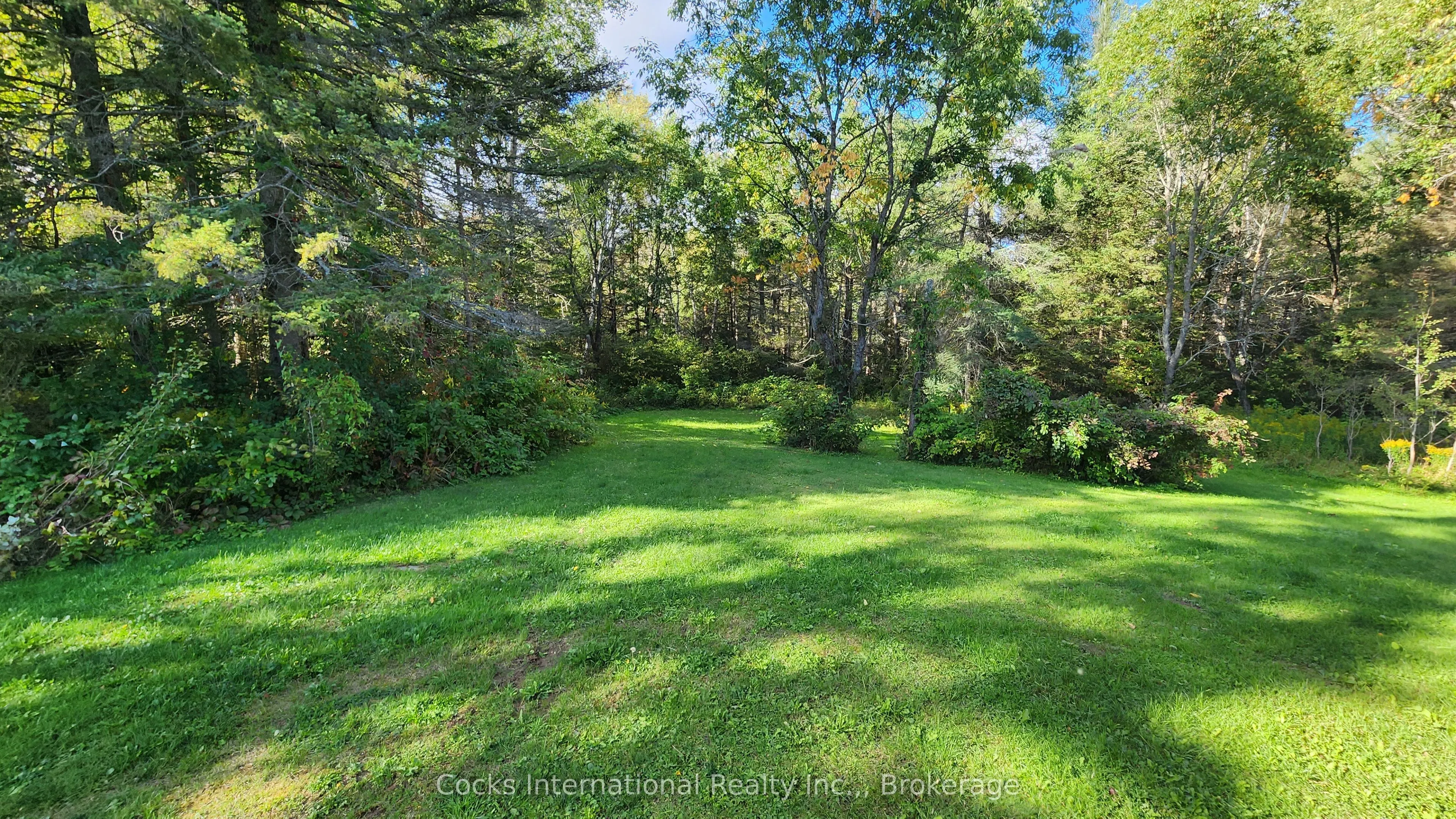 96 Pickerel & Jack Lake Road