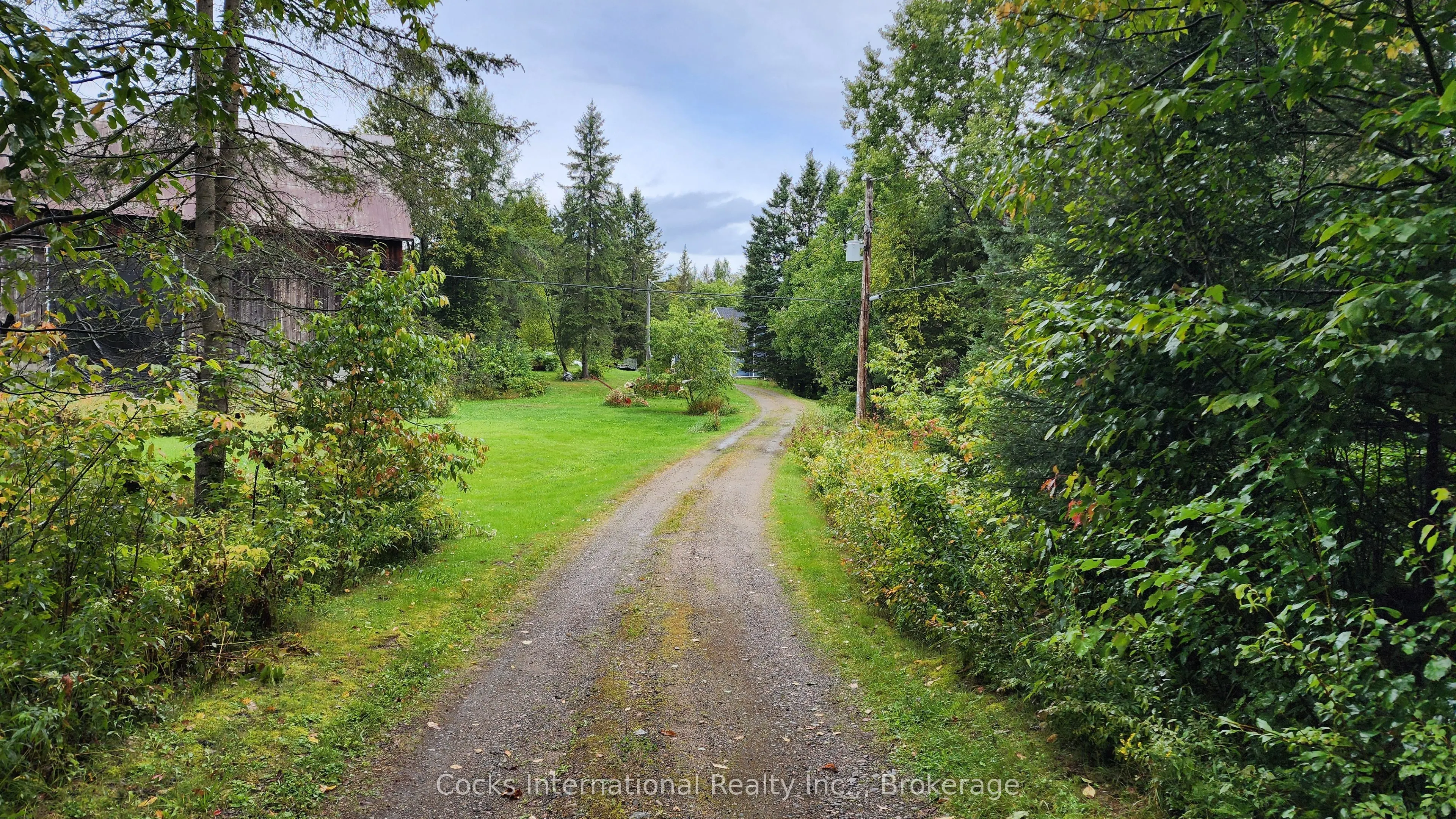 96 Pickerel & Jack Lake Road