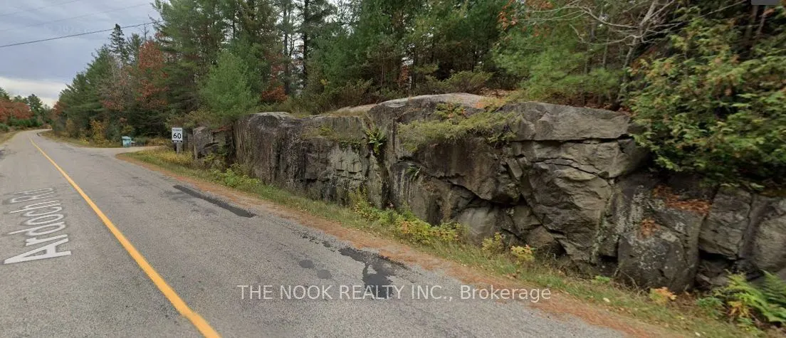 00 Pine Path