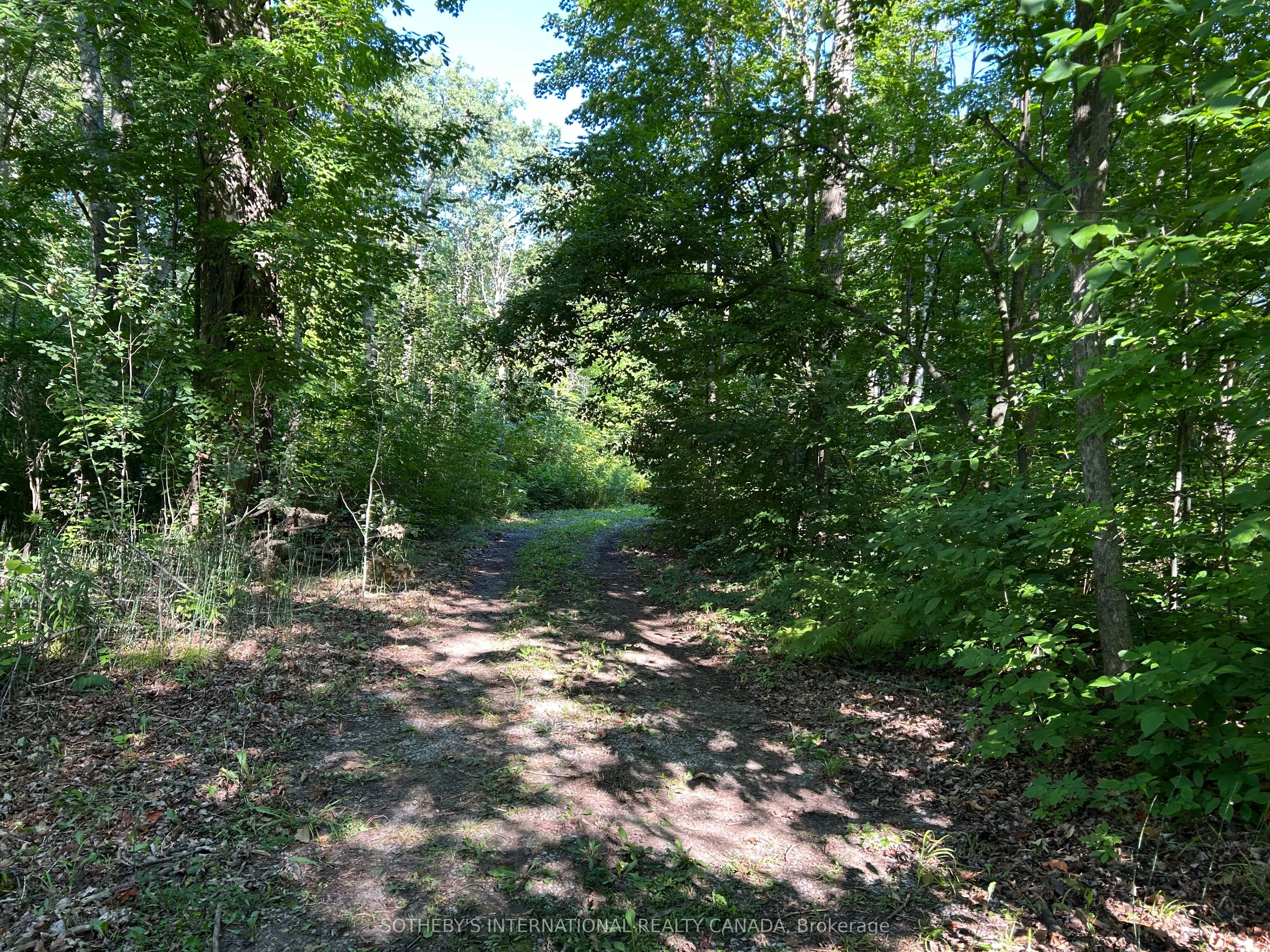 447 6th Line West