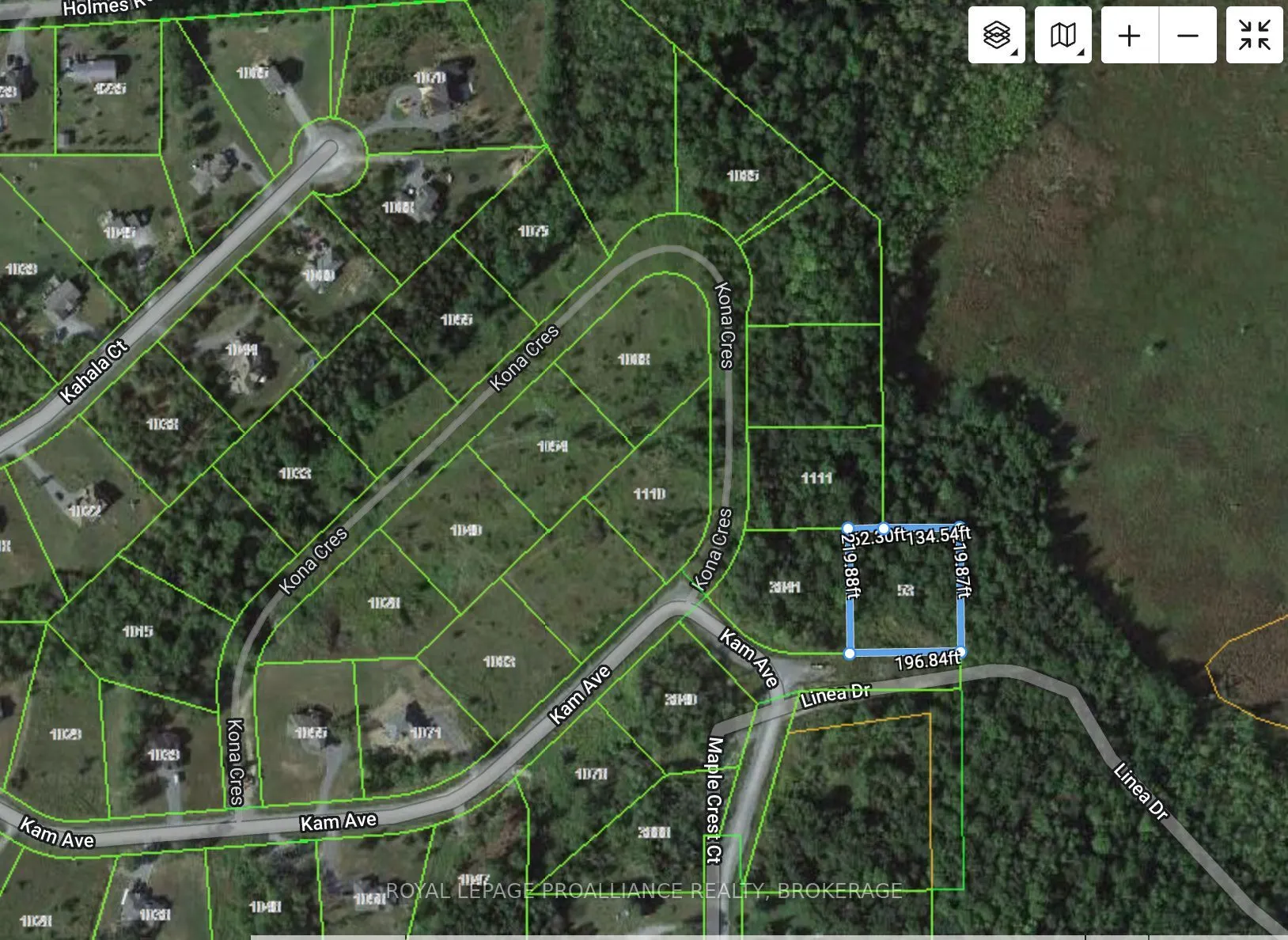 53 Linea Drive
