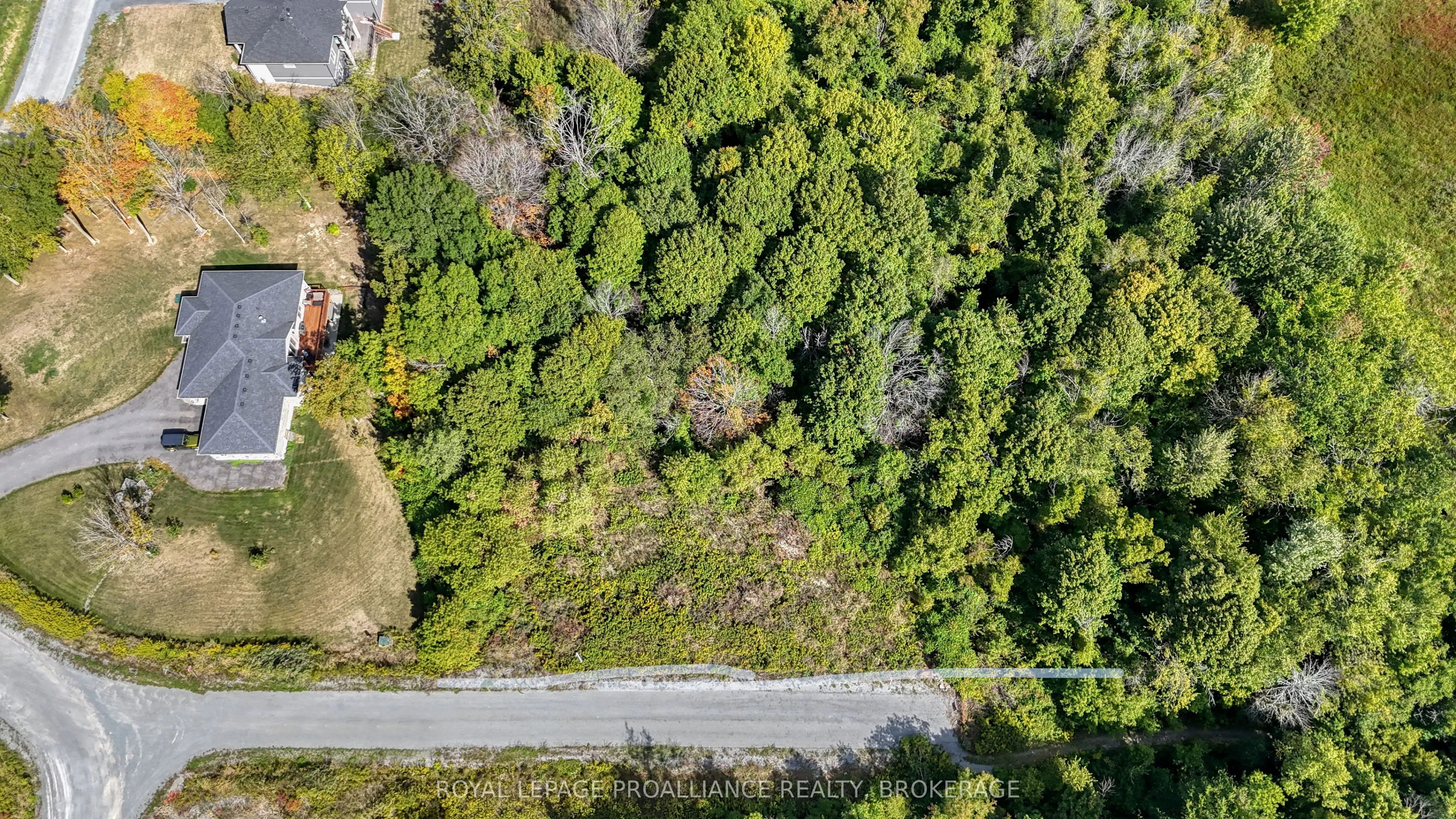 53 Linea Drive