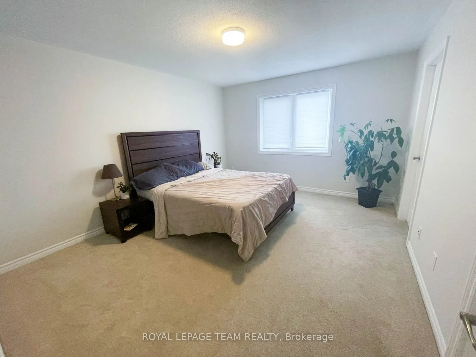 507 Catleaf Row