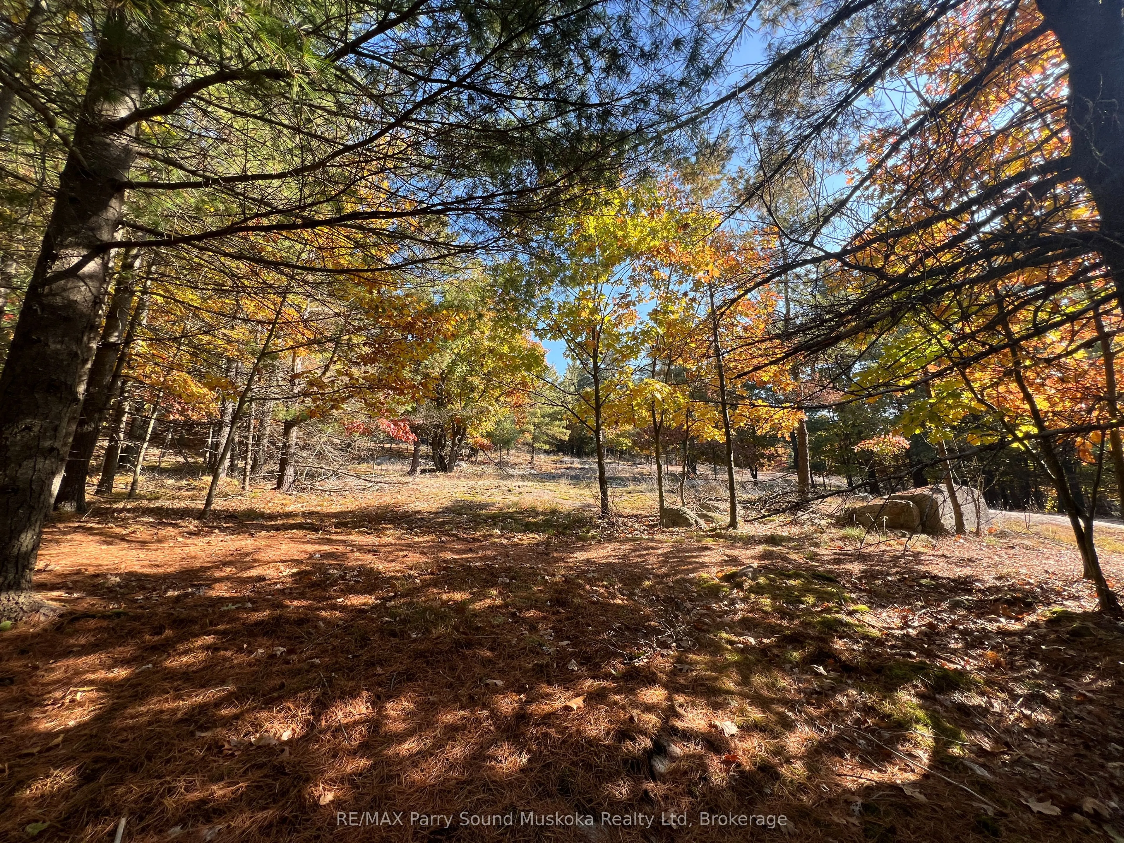 13 Ridgeway Drive