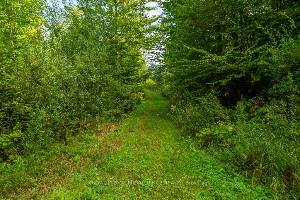 216 Glastonbury Road