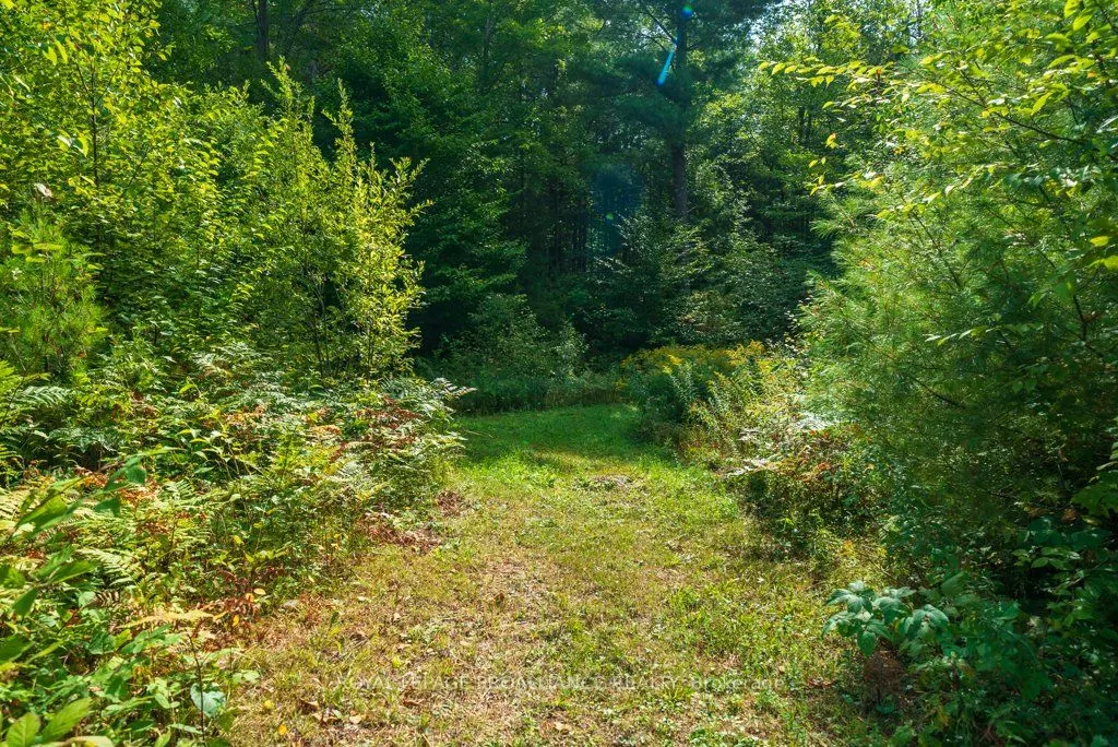 216 Glastonbury Road