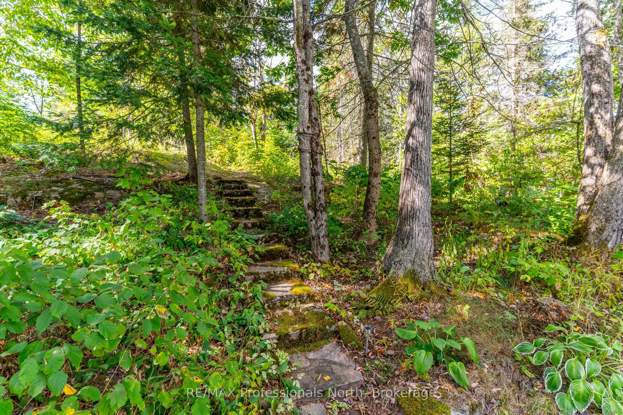1468 Twelve Mile Lake Road