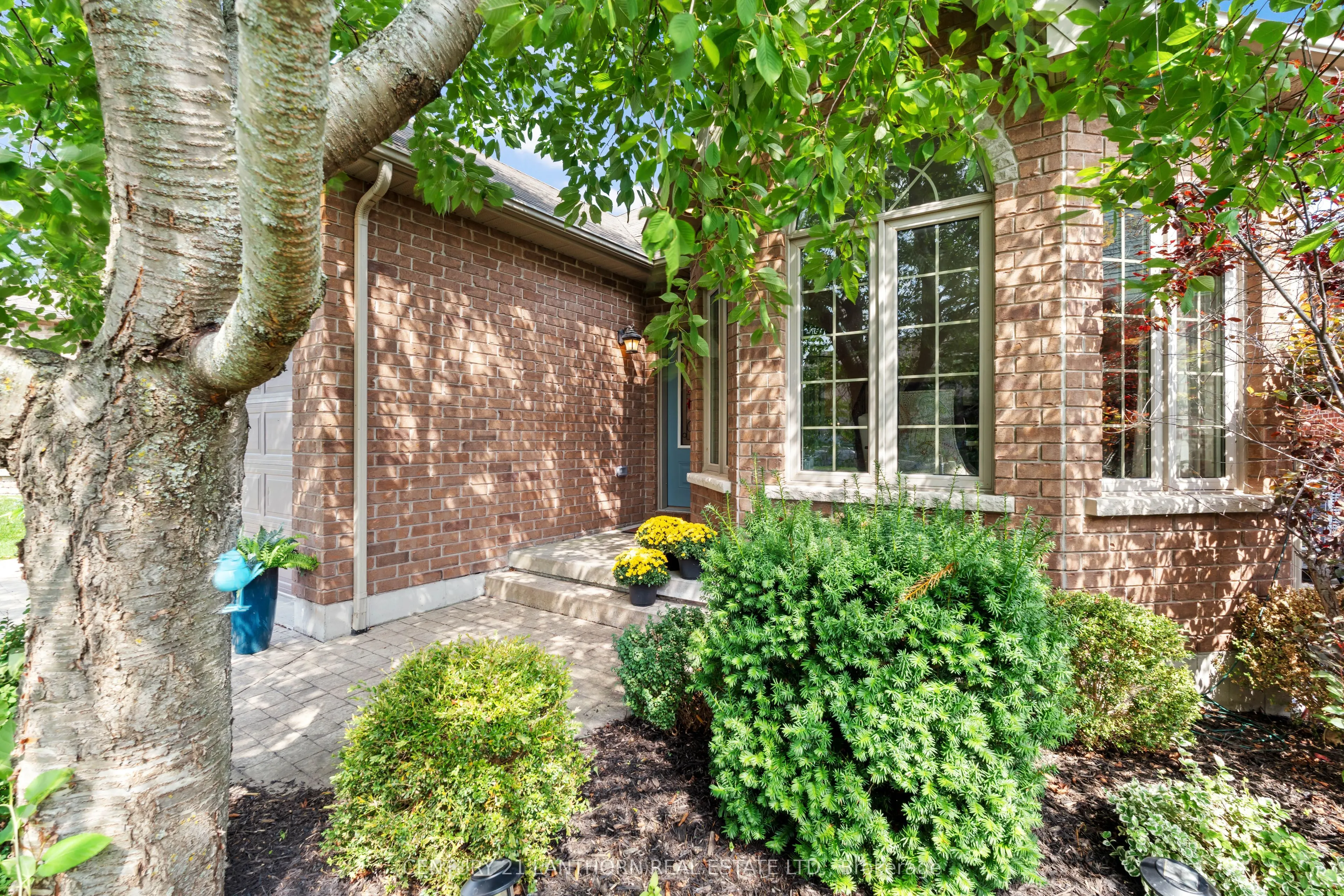 18 McDougall Drive