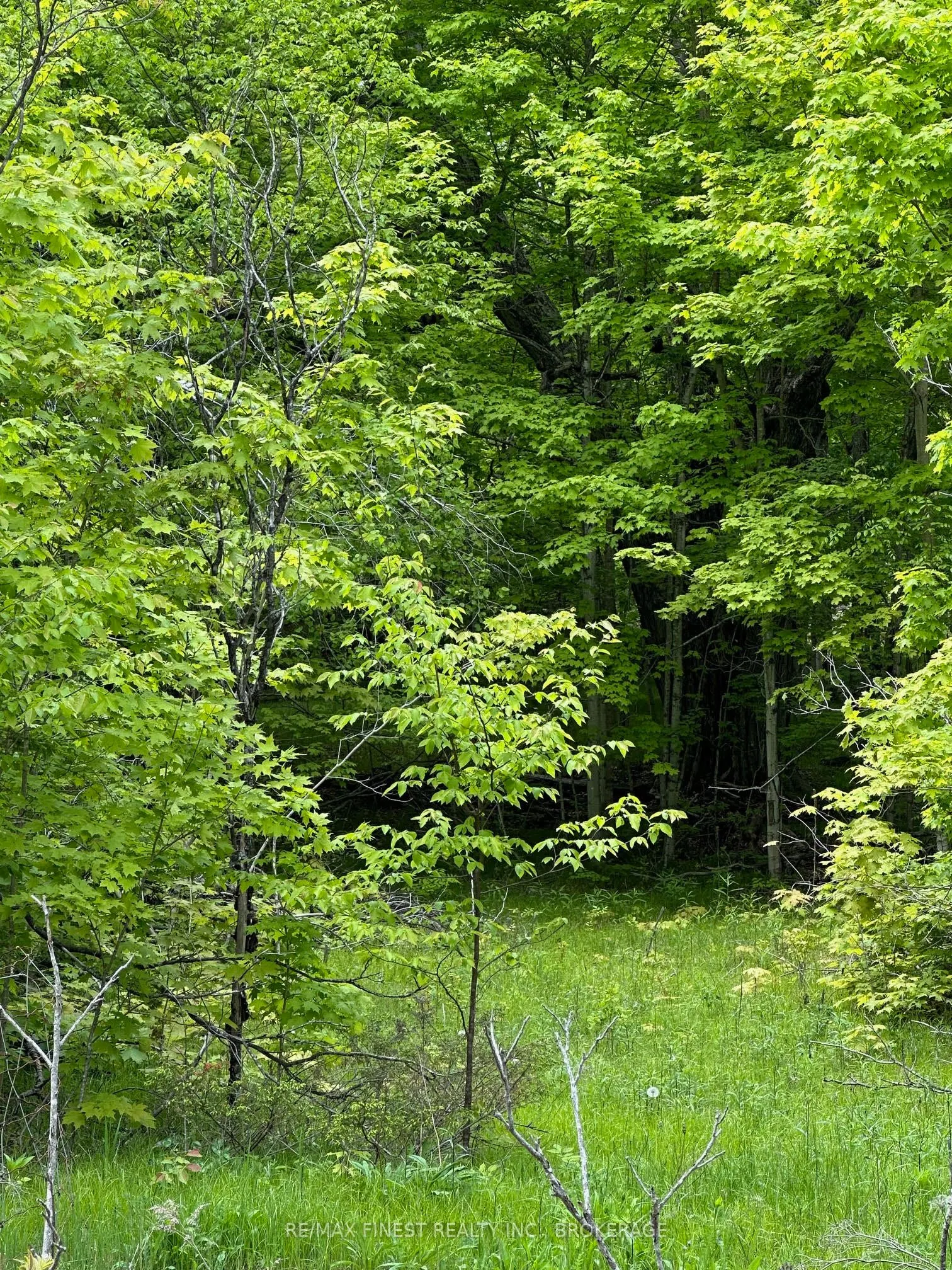 17146 Road 509