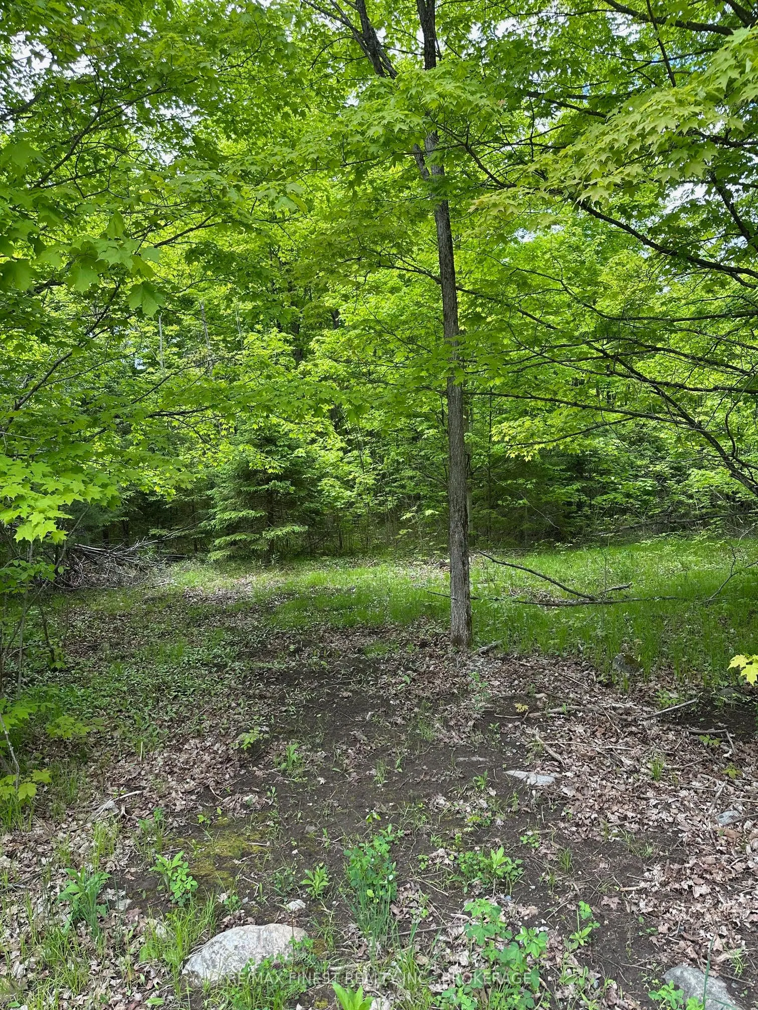 17146 Road 509