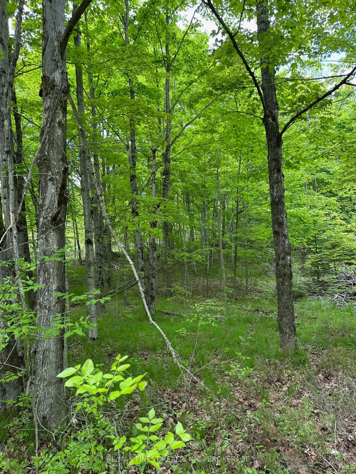 17146 Road 509