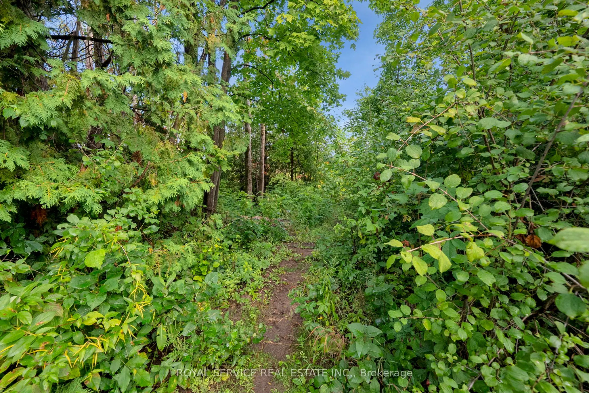 1204 Pigeon Creek Road
