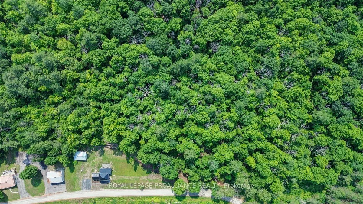 1040 Snider Road
