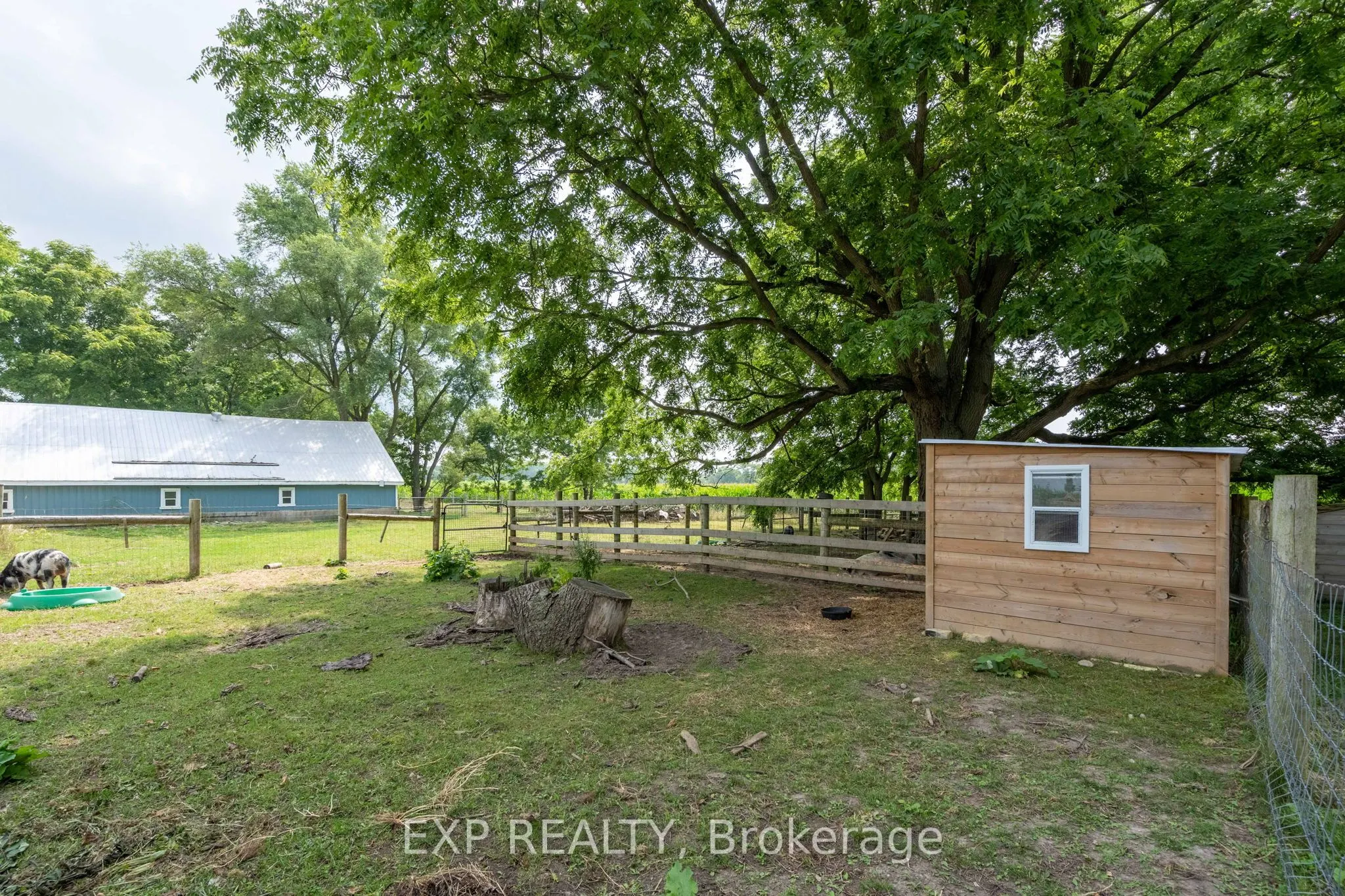 3892 Lewis Road