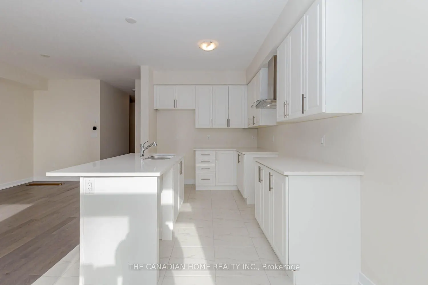10 SUNFLOWER Crescent