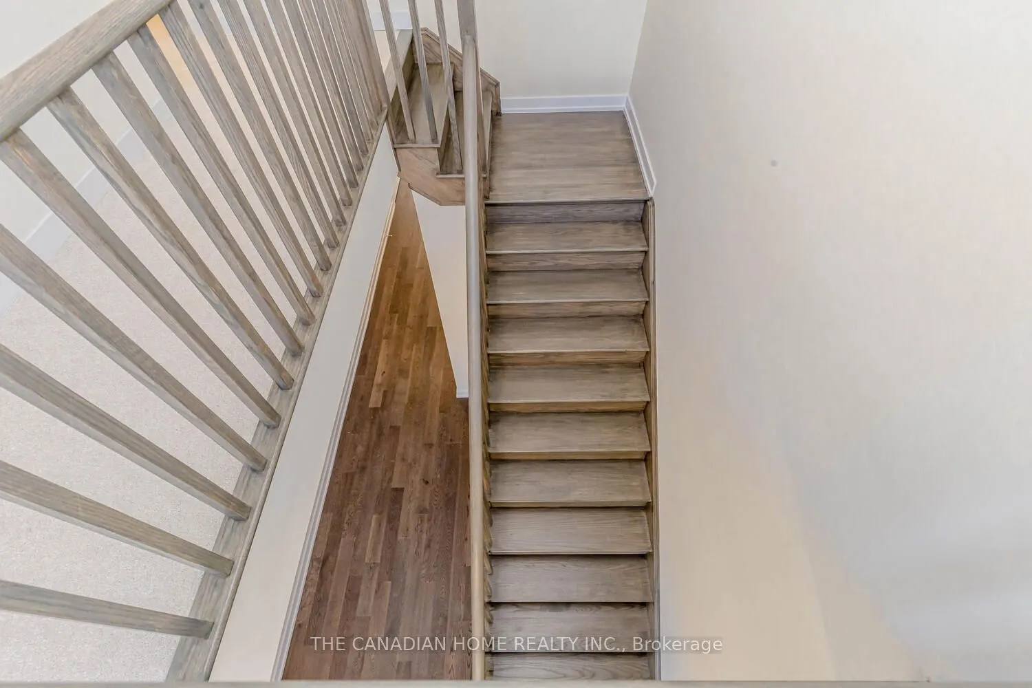 10 SUNFLOWER Crescent