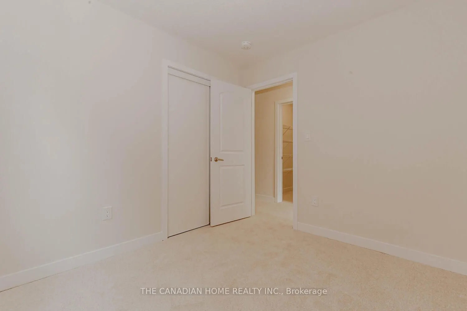 10 SUNFLOWER Crescent