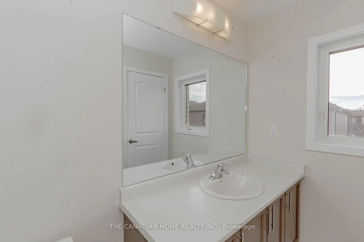 10 SUNFLOWER Crescent