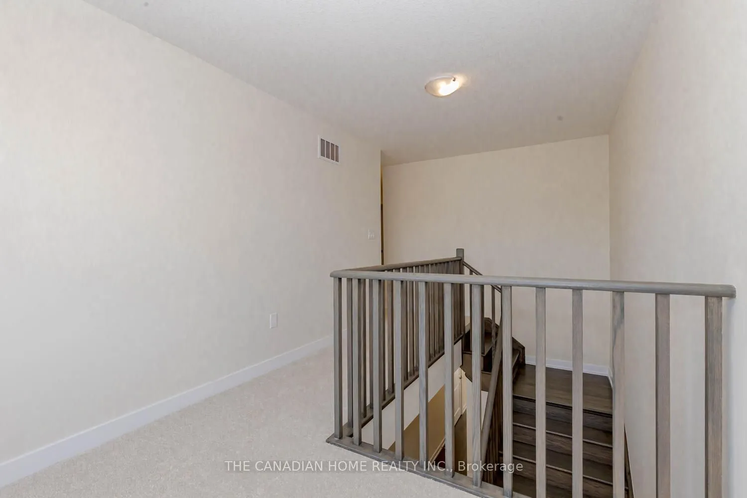 10 SUNFLOWER Crescent