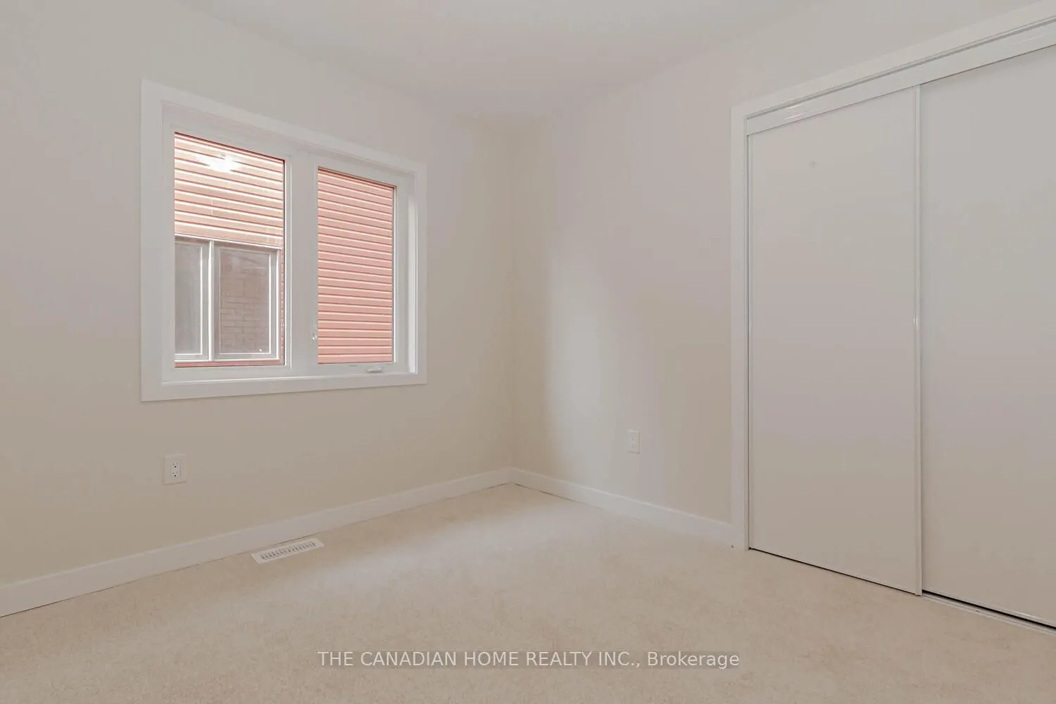 10 SUNFLOWER Crescent