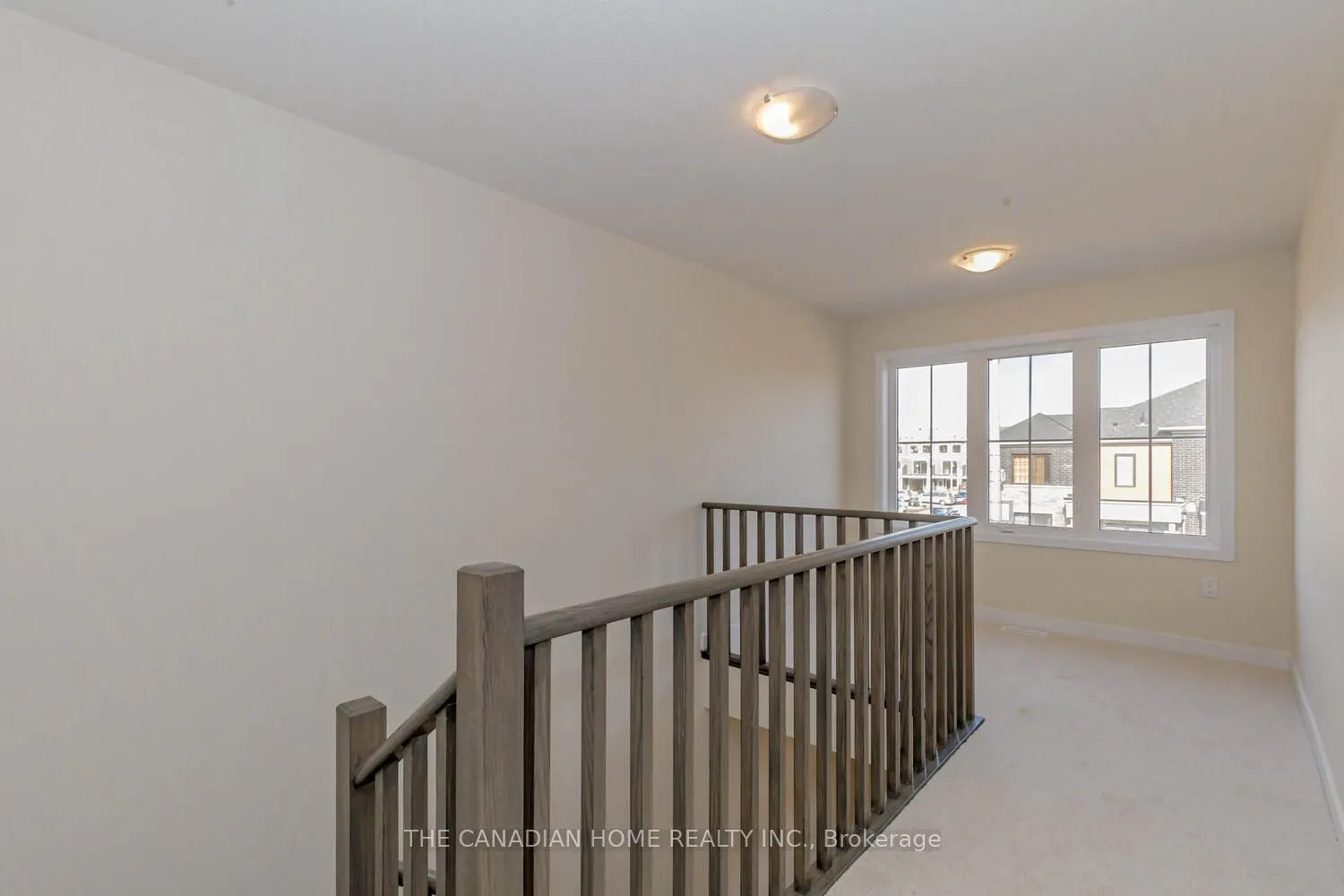 10 SUNFLOWER Crescent