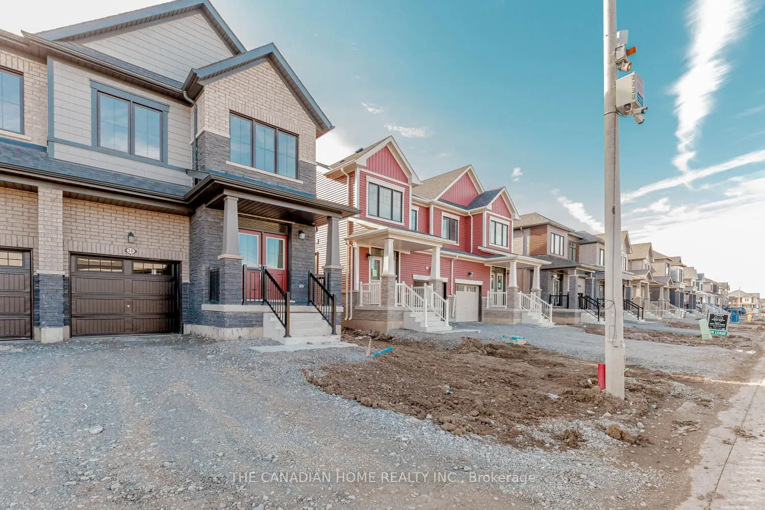 10 SUNFLOWER Crescent