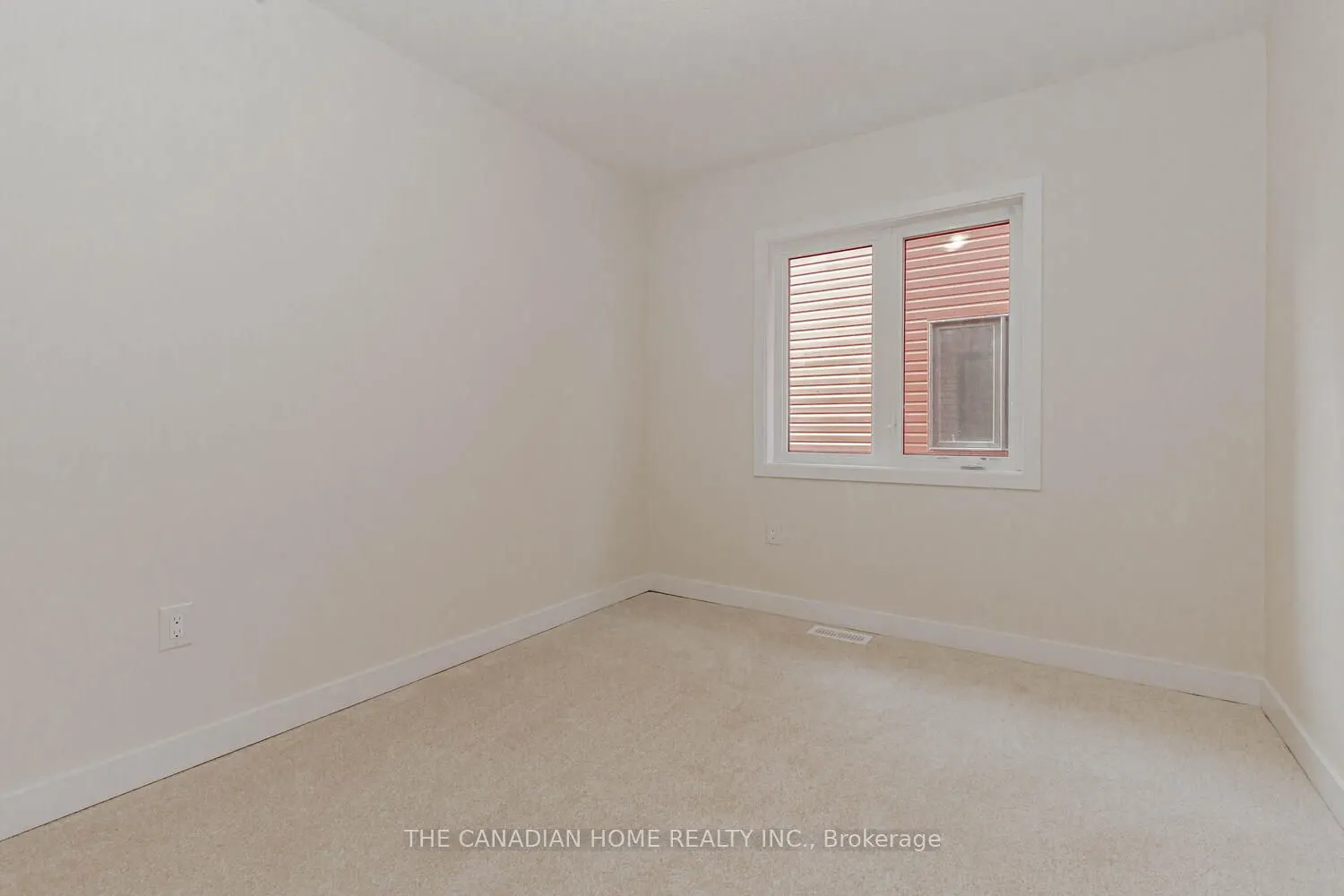 10 SUNFLOWER Crescent