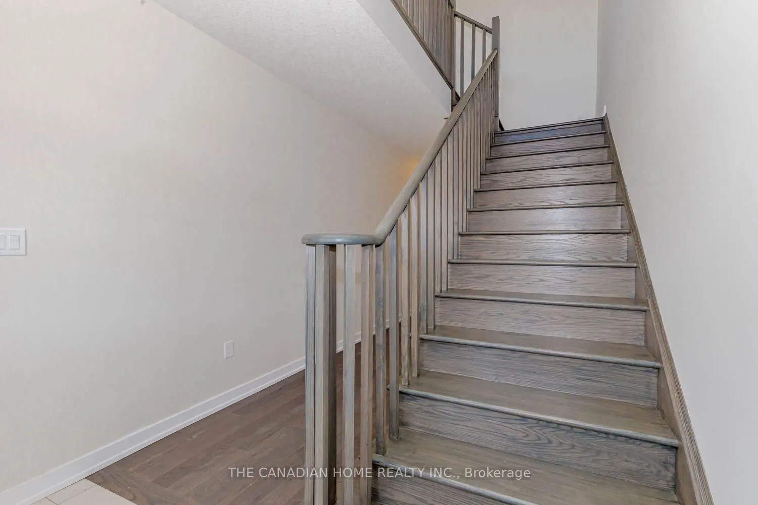 10 SUNFLOWER Crescent